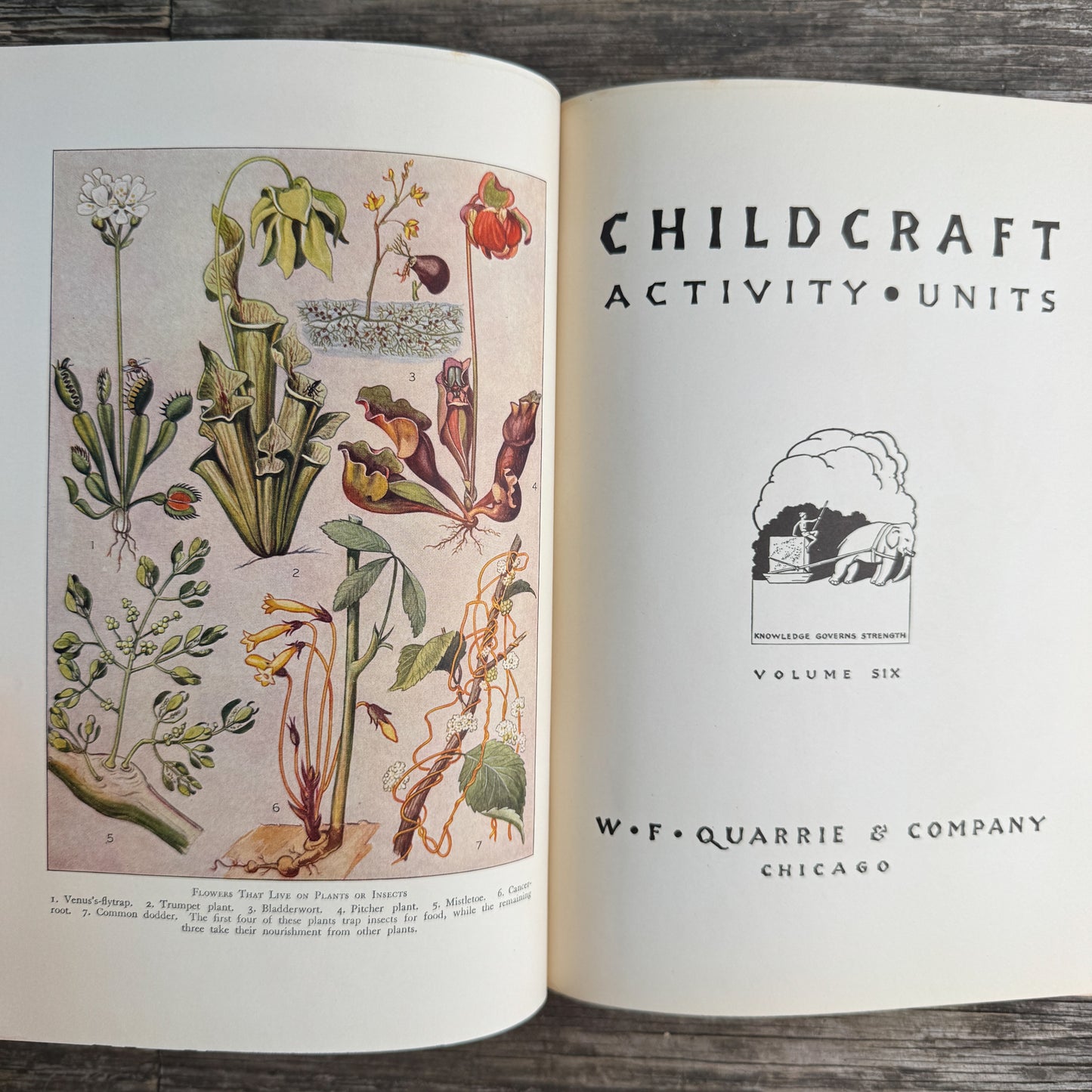 Childcraft, Volume Six, Activity Units, 1937