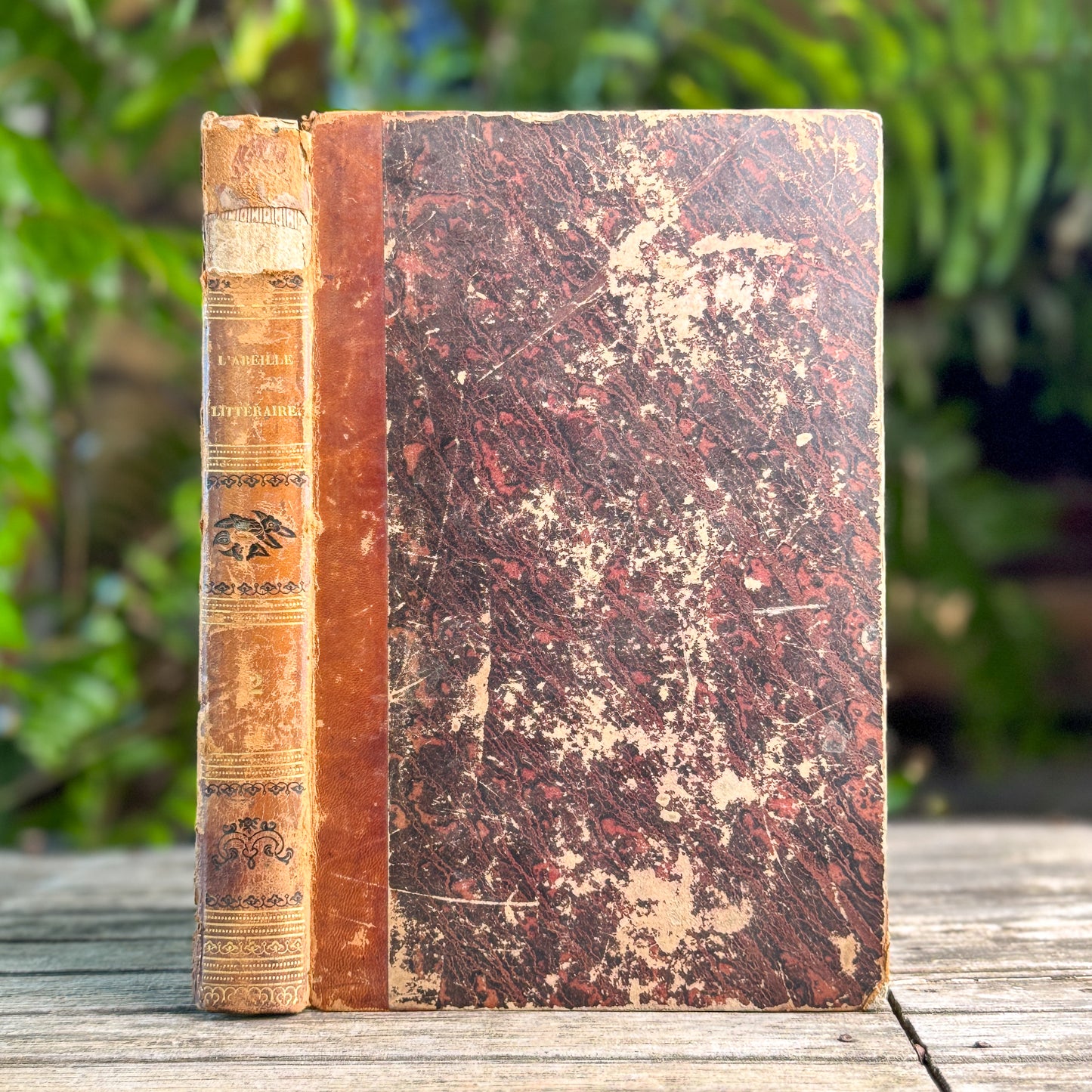 L'Abeille Littéraire, Revue des Feuilletons, Tome II, July 1845, French