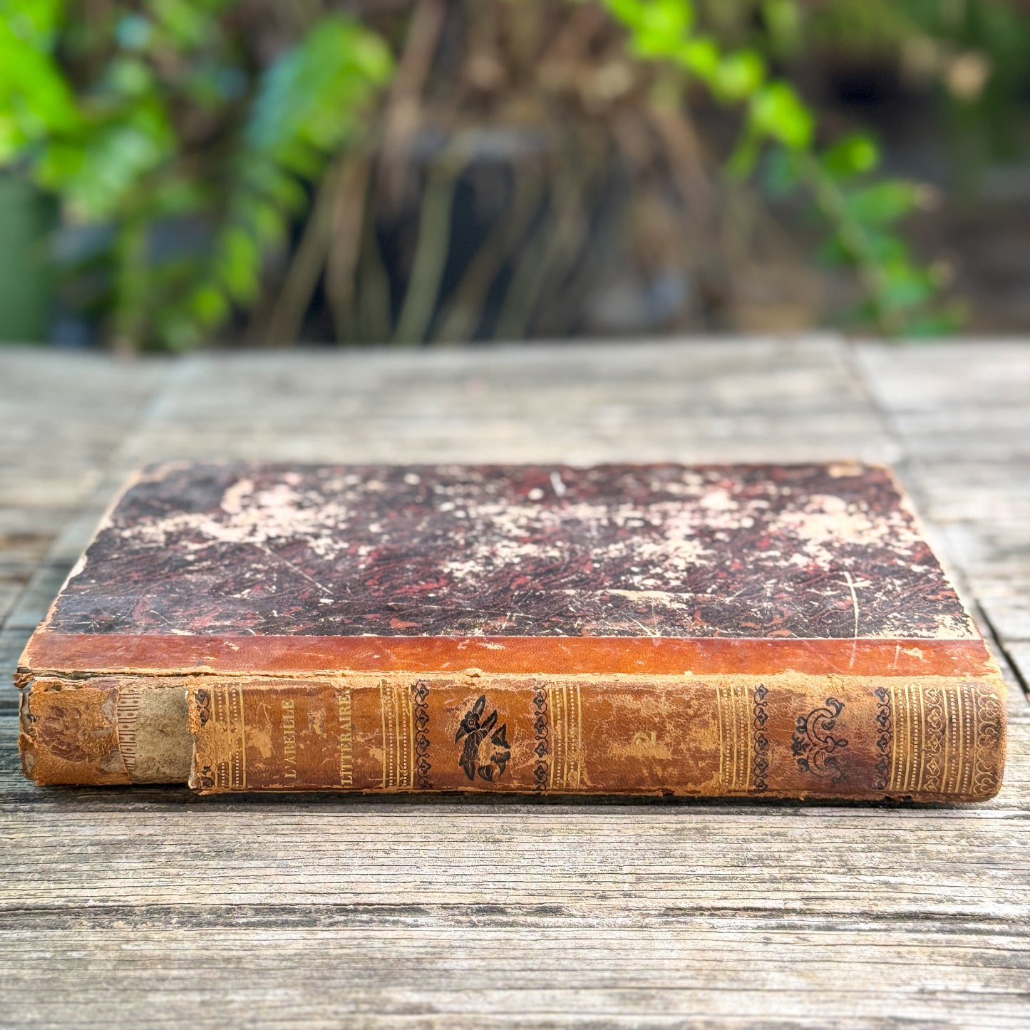 L'Abeille Littéraire, Revue des Feuilletons, Tome II, July 1845, French