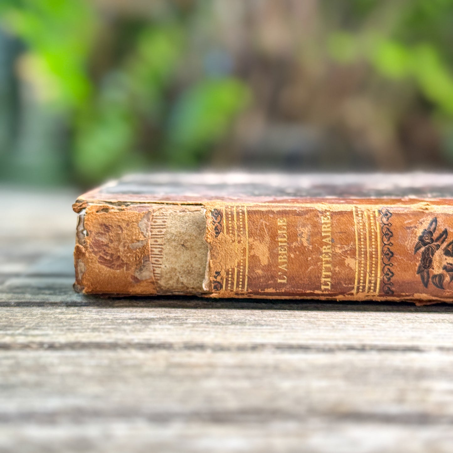 L'Abeille Littéraire, Revue des Feuilletons, Tome II, July 1845, French