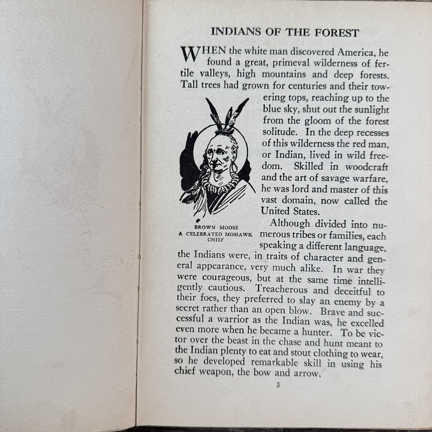 The Boy's Book of Indians, George Alfred Williams, Rare Children's Book