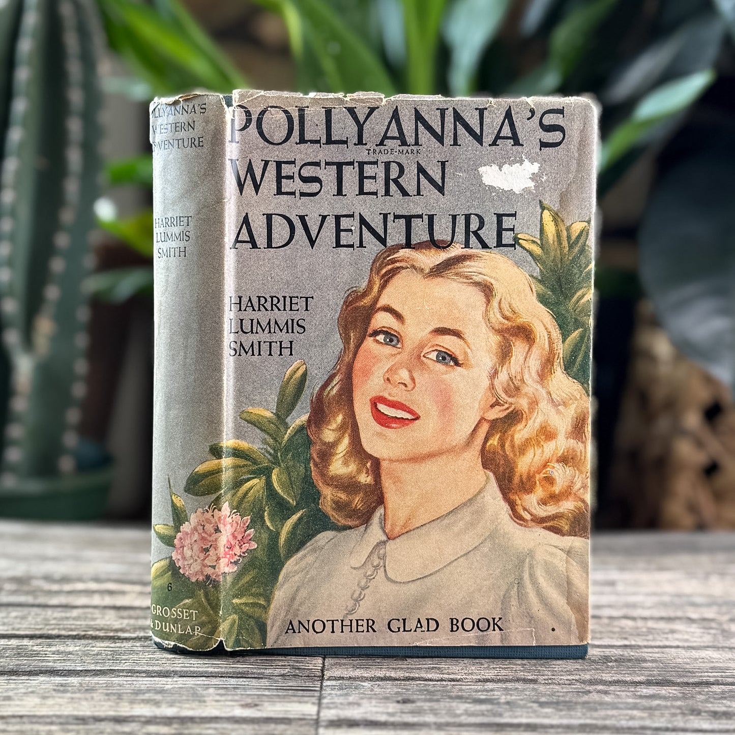 Pollyanna's Western Adventure, Harriet Lummis Smith, Grosset & Dunlap, 1929