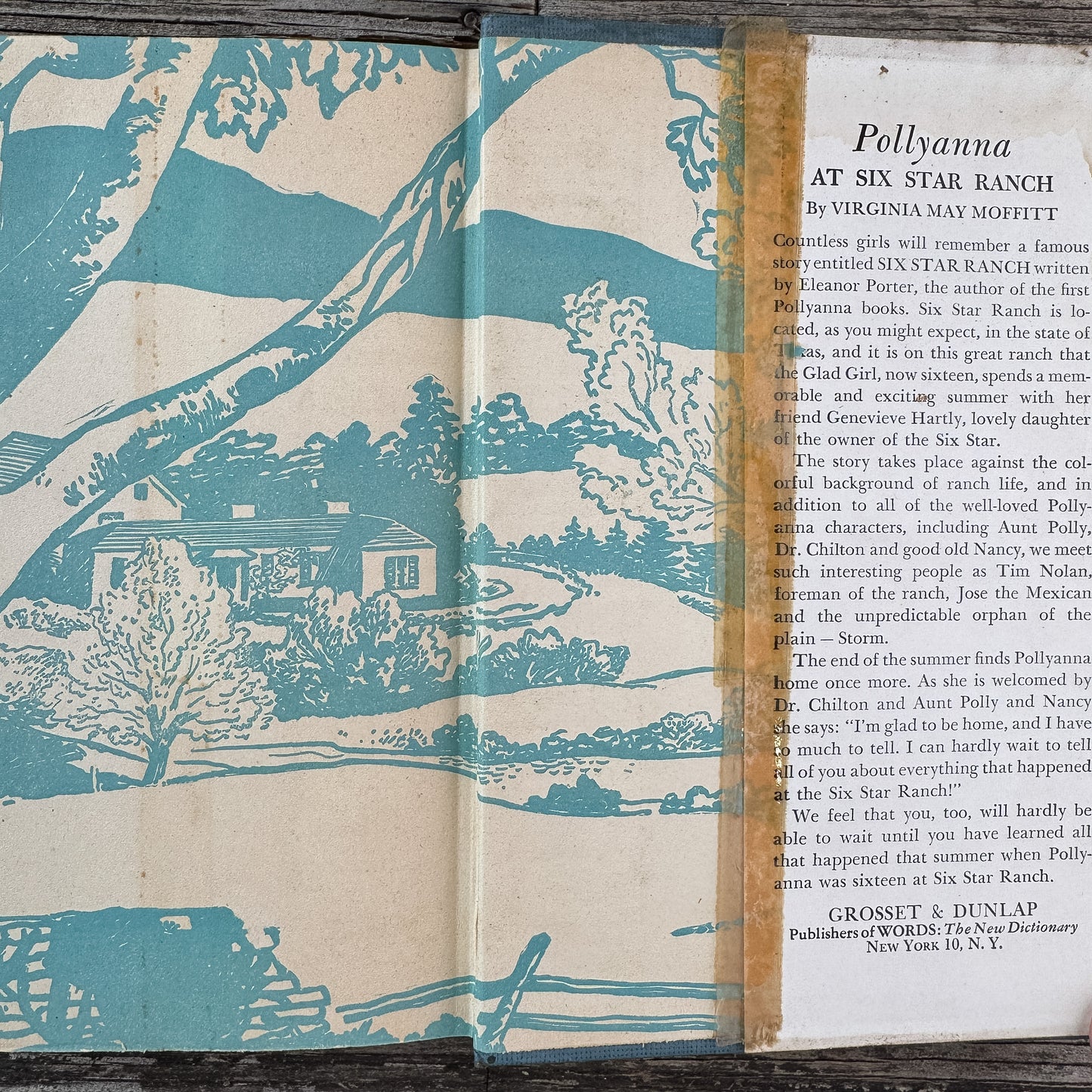 Pollyanna's Western Adventure, Harriet Lummis Smith, Grosset & Dunlap, 1929