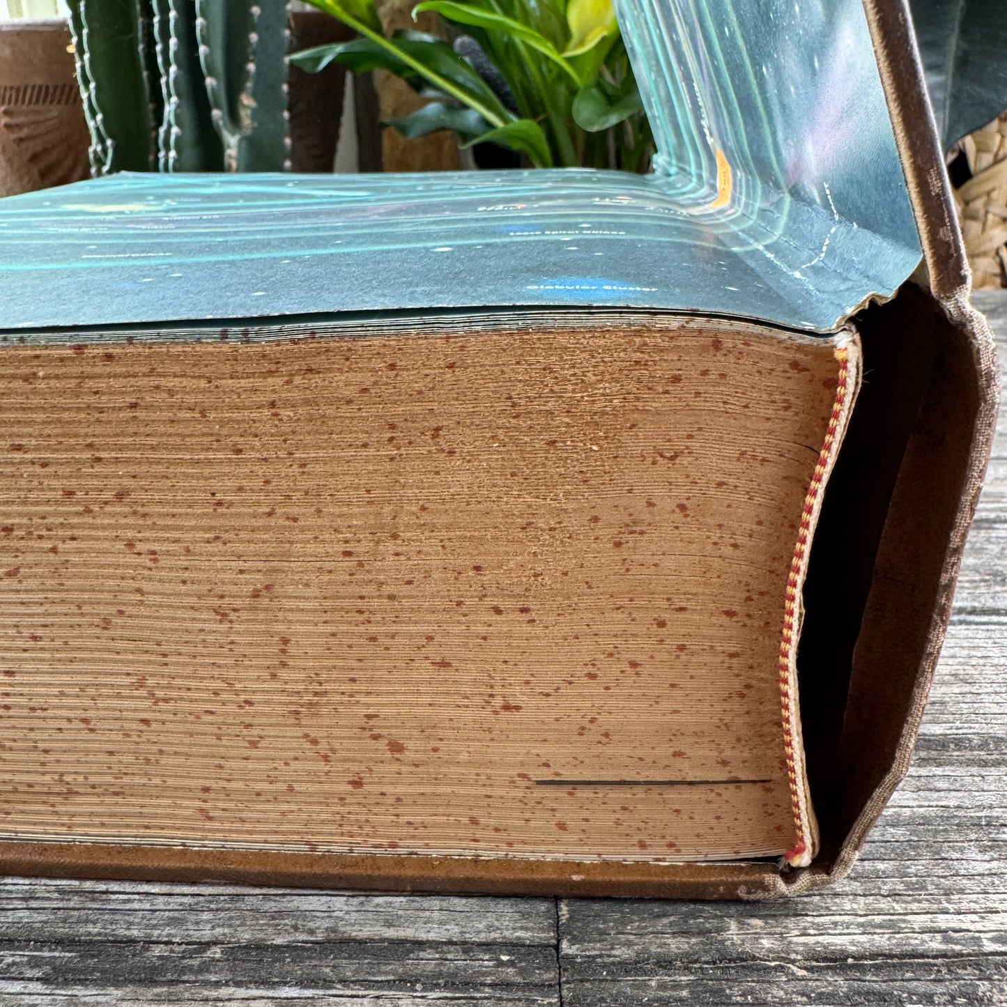 Webster's Home University Dictionary,  1963 Oversized Reference Book