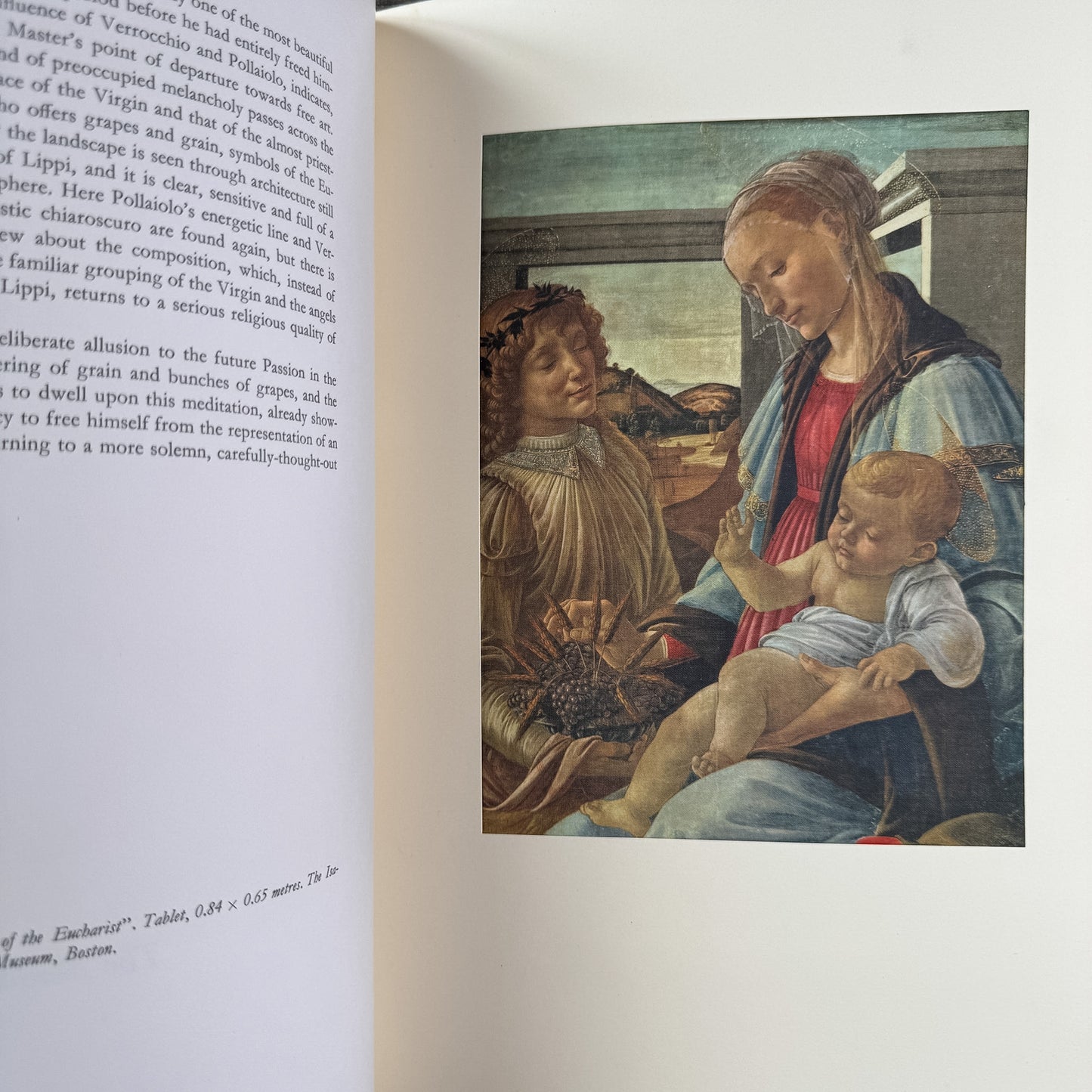 Botticelli, Prints Ready For Framing, 1964