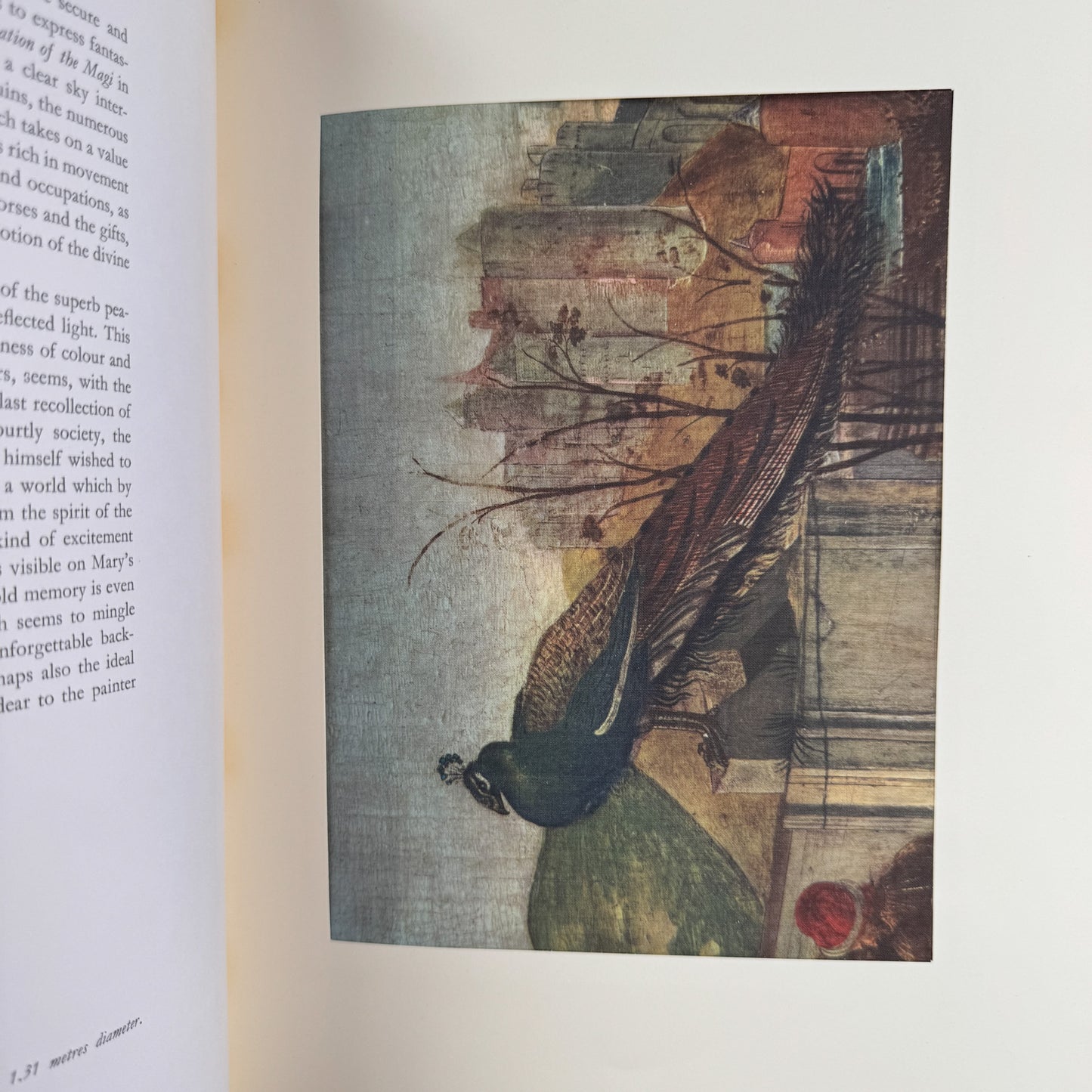 Botticelli, Prints Ready For Framing, 1964