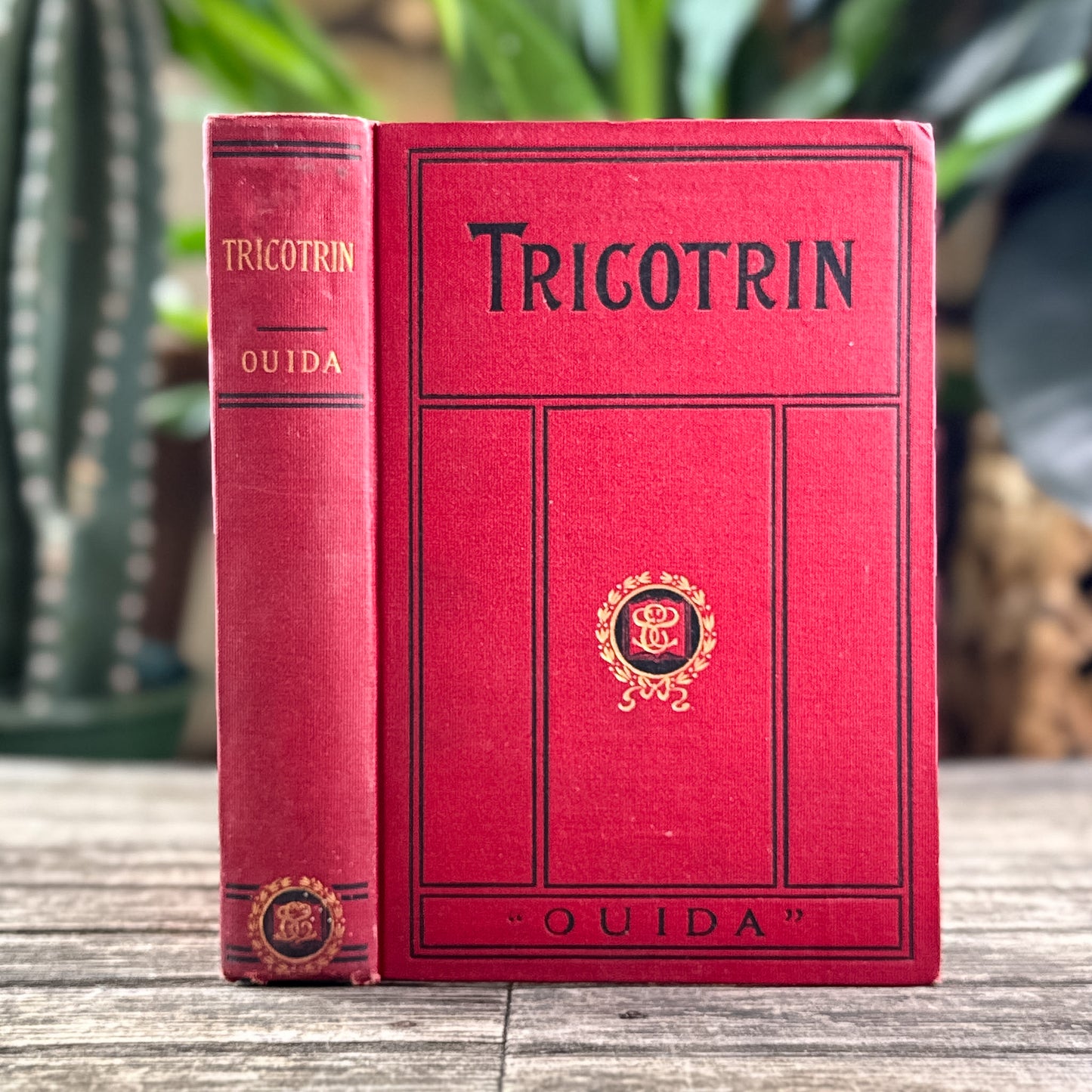 Tricotrin, Ouida, Street & Smith Edition, Antique Paris Fiction