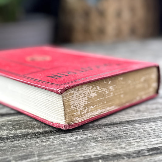 Tricotrin, Ouida, Street & Smith Edition, Antique Paris Fiction