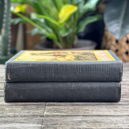 Antique Kidnapped and Treasure Island (2-Volume Set),  Robert Louis Stevenson