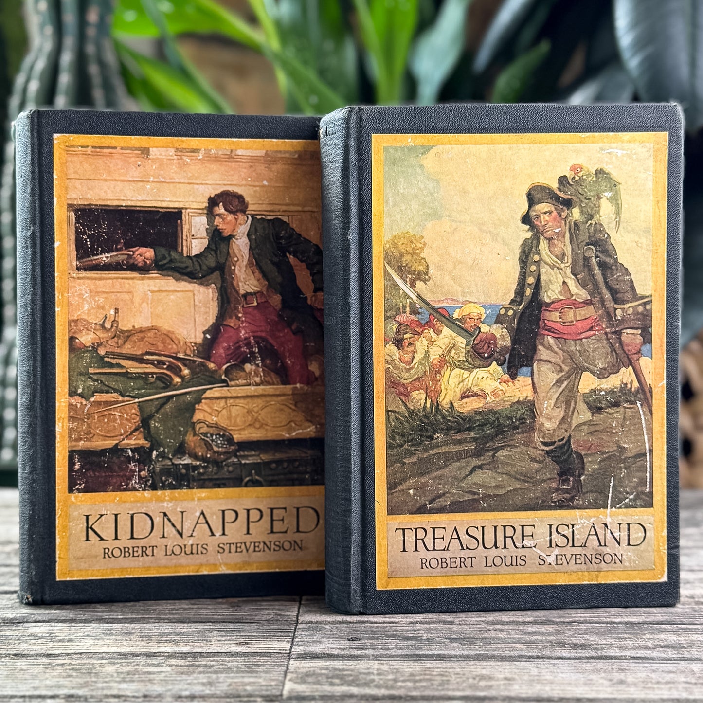 Antique Kidnapped and Treasure Island (2-Volume Set),  Robert Louis Stevenson