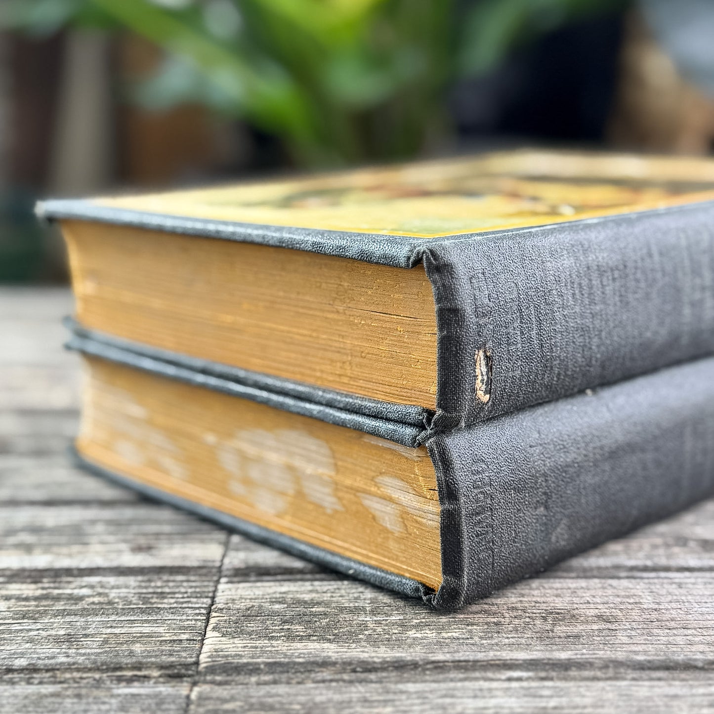 Antique Kidnapped and Treasure Island (2-Volume Set),  Robert Louis Stevenson