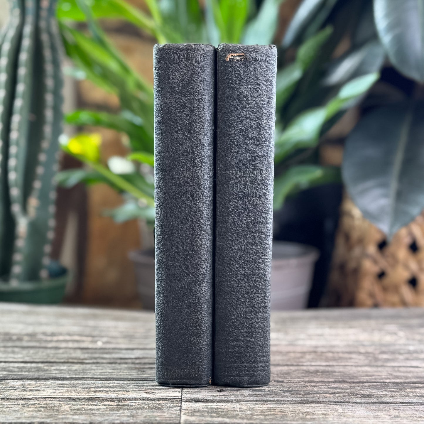 Antique Kidnapped and Treasure Island (2-Volume Set),  Robert Louis Stevenson