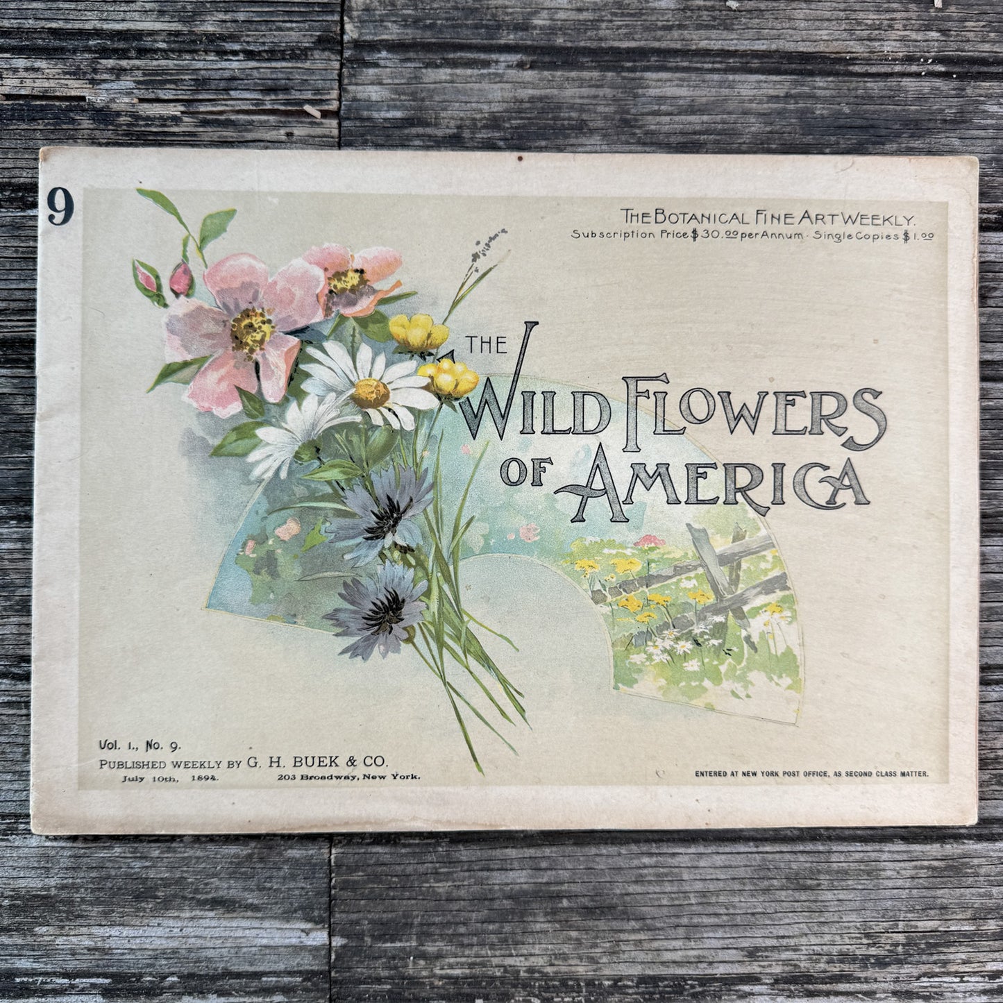 Wildflowers of America Botanical Fine Art Weekly Magazine, Vol. 1, No. 9, July 10, 1894