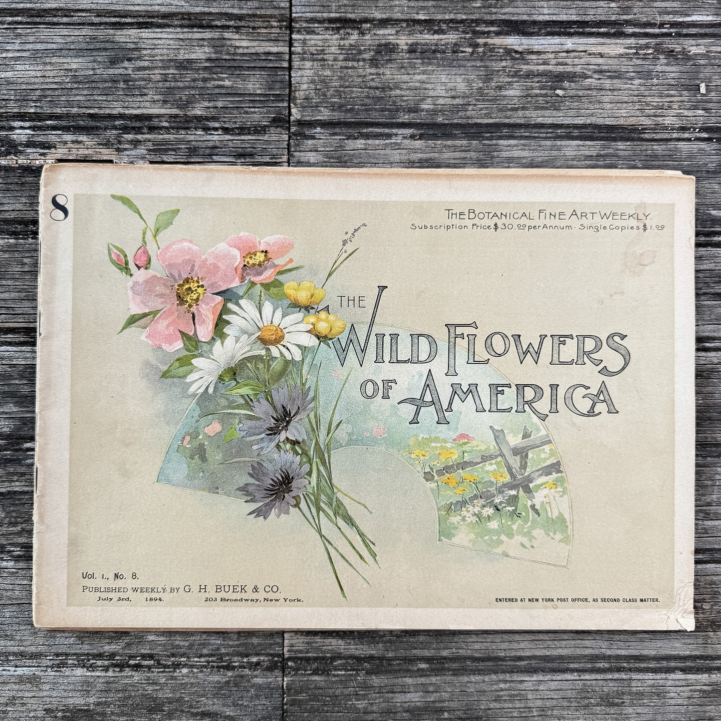 Wildflowers of America Botanical Fine Art Weekly Magazine, Vol. 1, No. 8, July 3, 1894