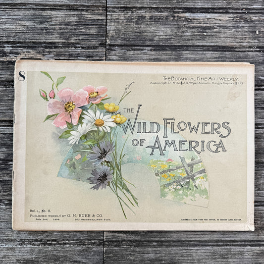 Wildflowers of America Botanical Fine Art Weekly Magazine, Vol. 1, No. 8, July 3, 1894