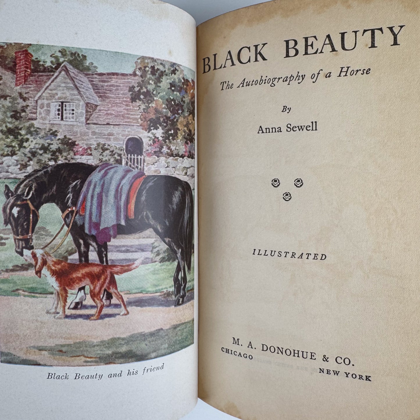 Black Beauty, Anna Sewell, Illustrated Vintage Donohue Hardcover
