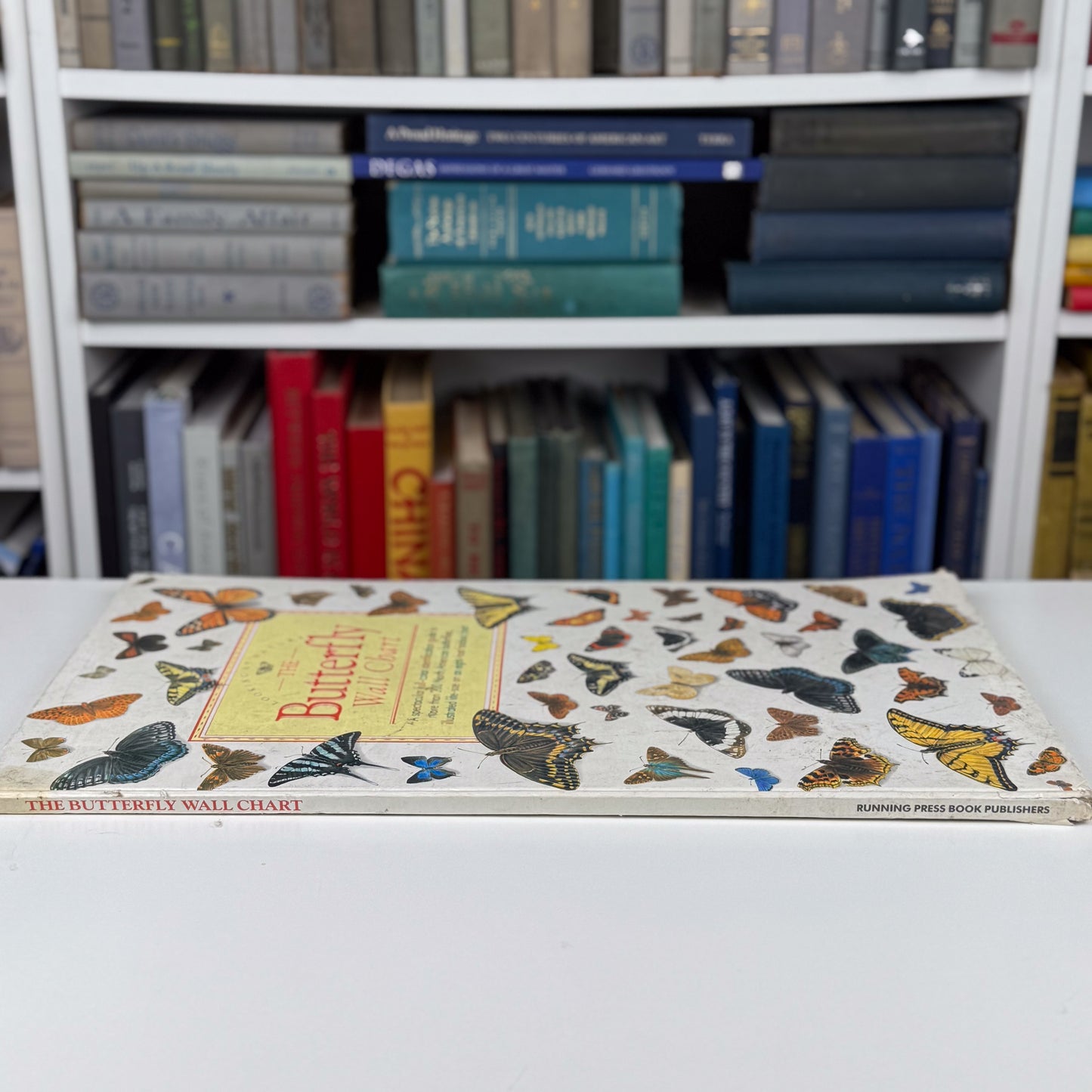 The Butterfly Wall Chart, Oversized 8-Foot Fold Out Identification Guide, 1991 Hardcover