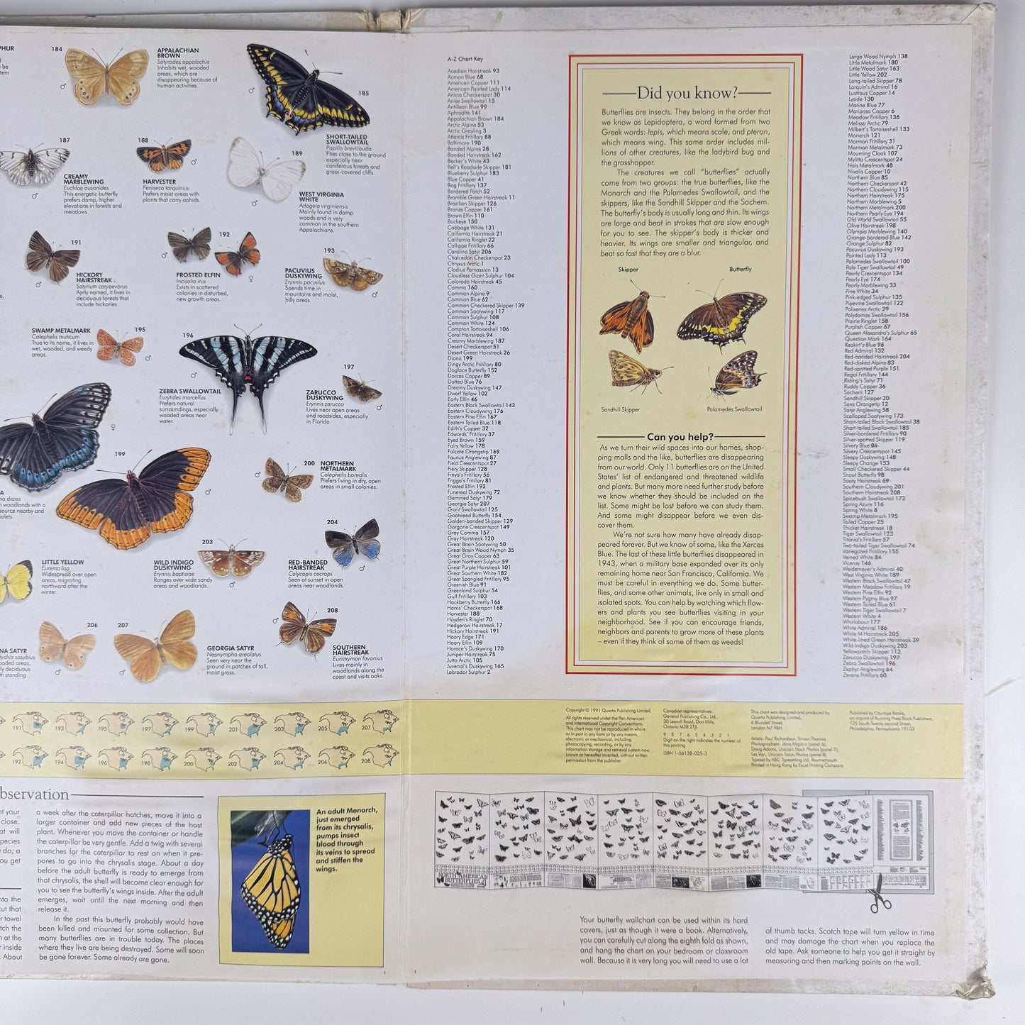 The Butterfly Wall Chart, Oversized 8-Foot Fold Out Identification Guide, 1991 Hardcover