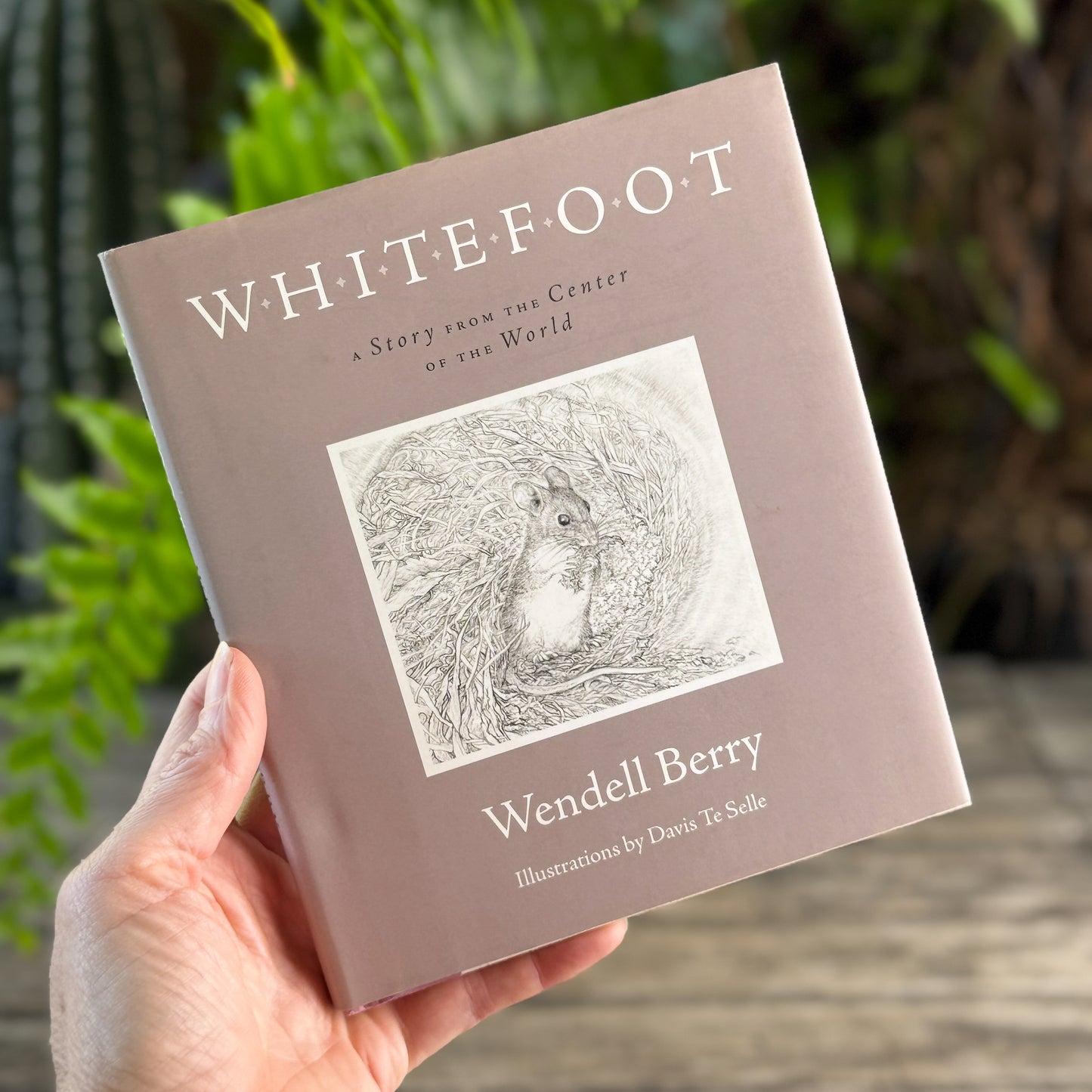 Whitefoot, A Story from the Center of the World, Wendell Berry, 2009, First Printing