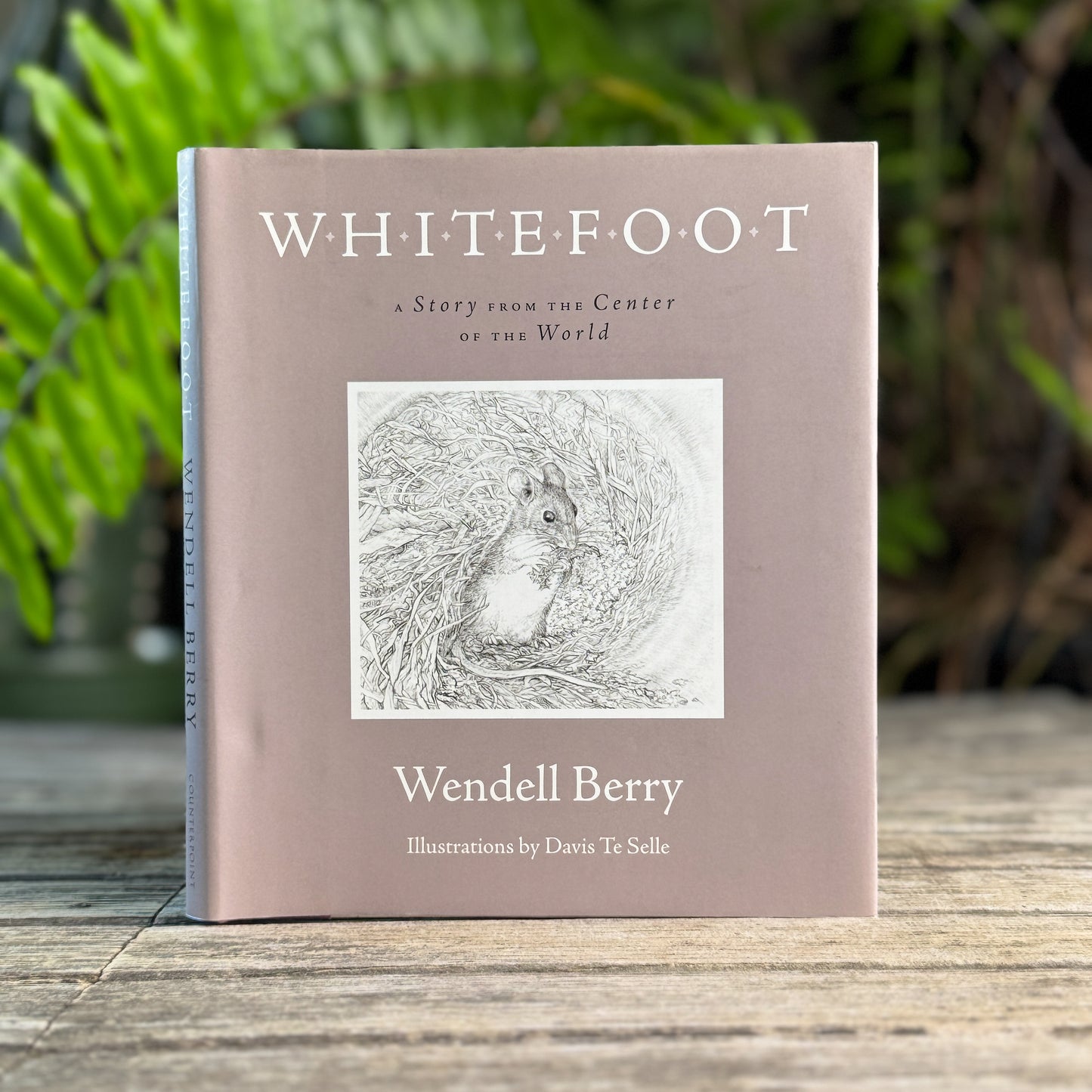 Whitefoot, A Story from the Center of the World, Wendell Berry, 2009, First Printing