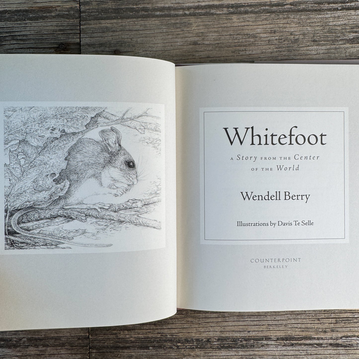 Whitefoot, A Story from the Center of the World, Wendell Berry, 2009, First Printing