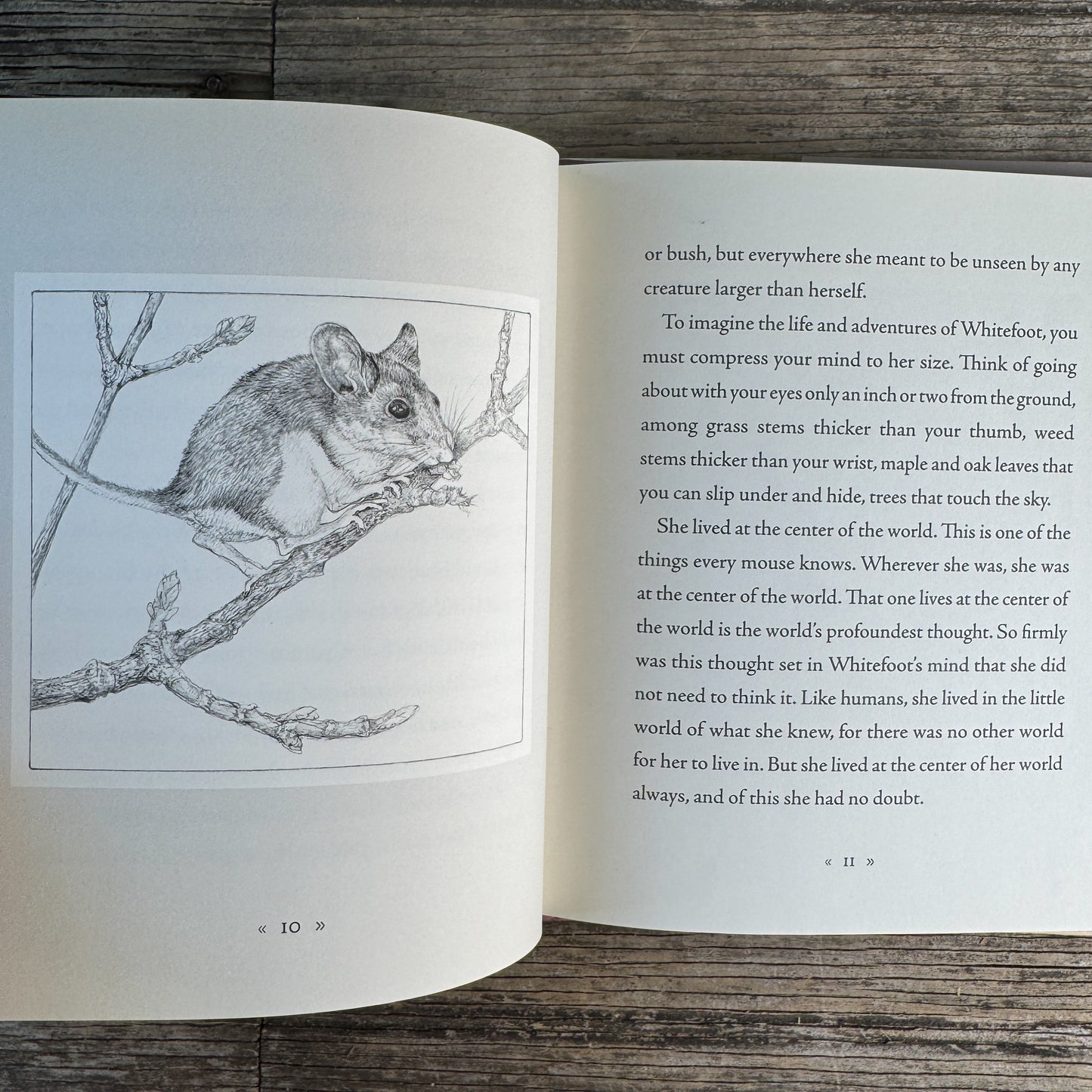 Whitefoot, A Story from the Center of the World, Wendell Berry, 2009, First Printing