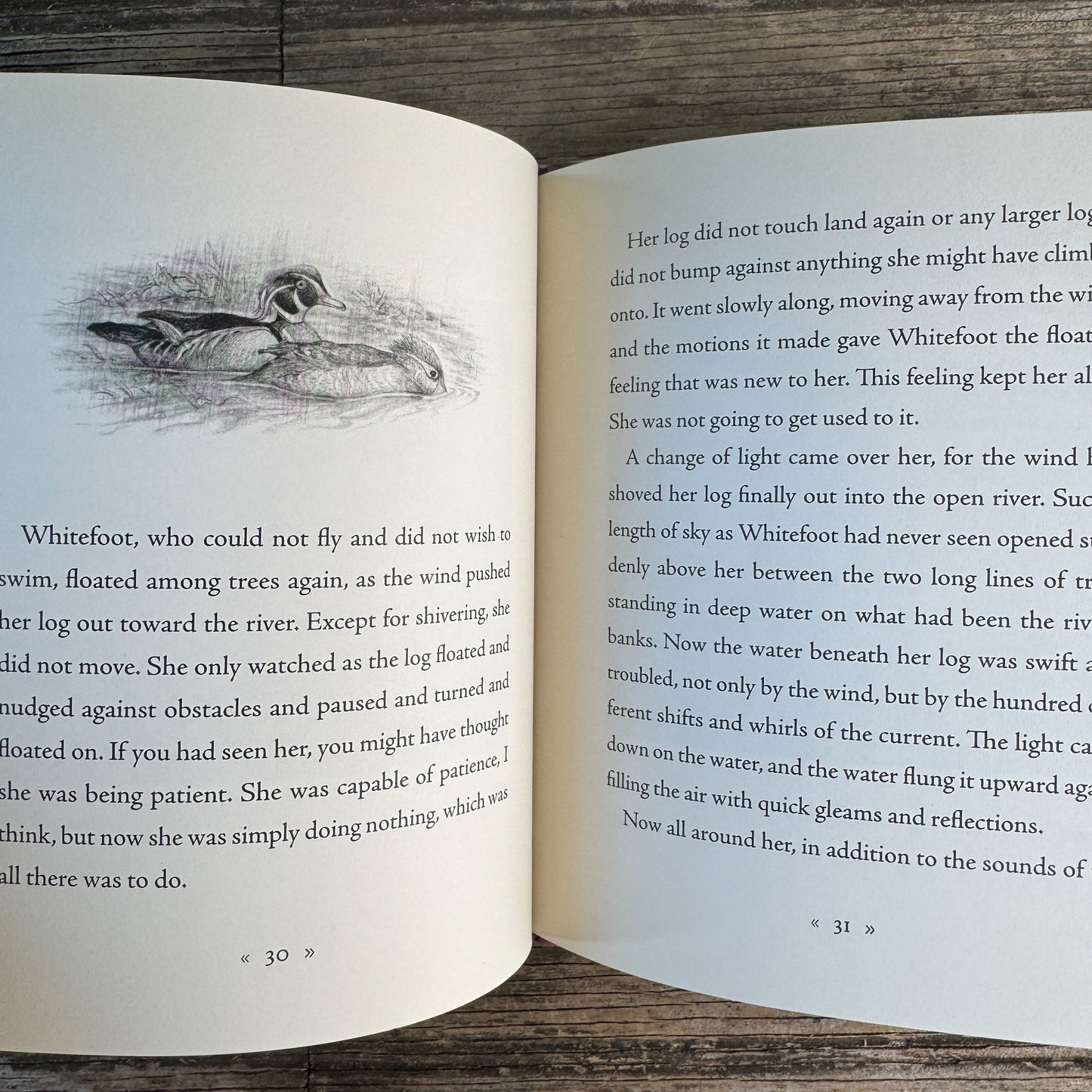 Whitefoot, A Story from the Center of the World, Wendell Berry, 2009, First Printing