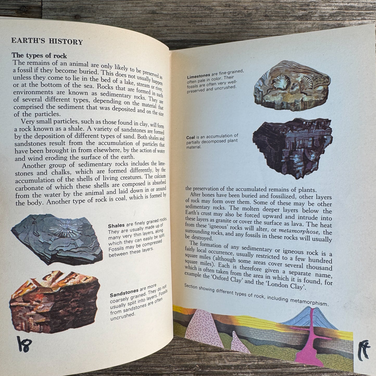 Prehistoric Animals, Barry Cox, A Grosset All-Color Guide, 1970
