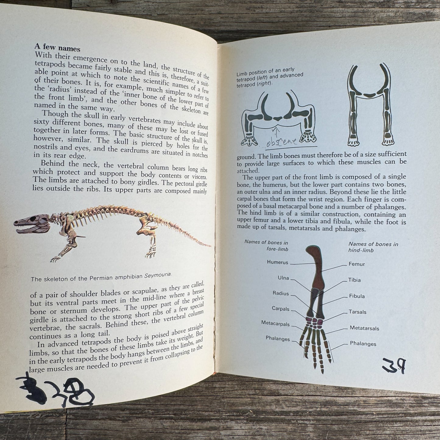 Prehistoric Animals, Barry Cox, A Grosset All-Color Guide, 1970