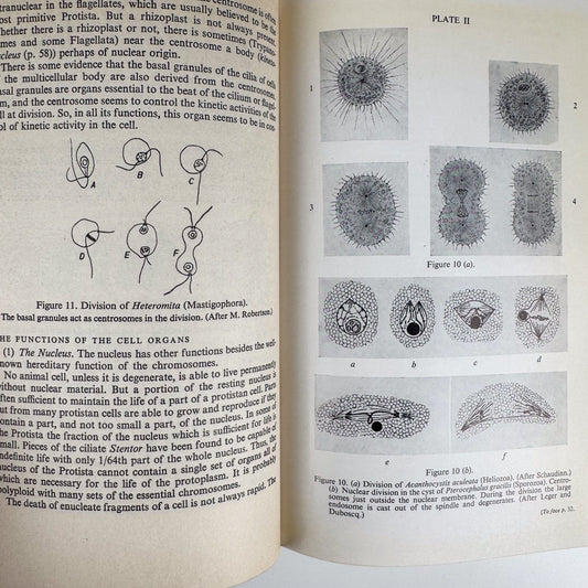 A General Zoology of the Invertebrates, 1961 Hardcover Illustrated School Book