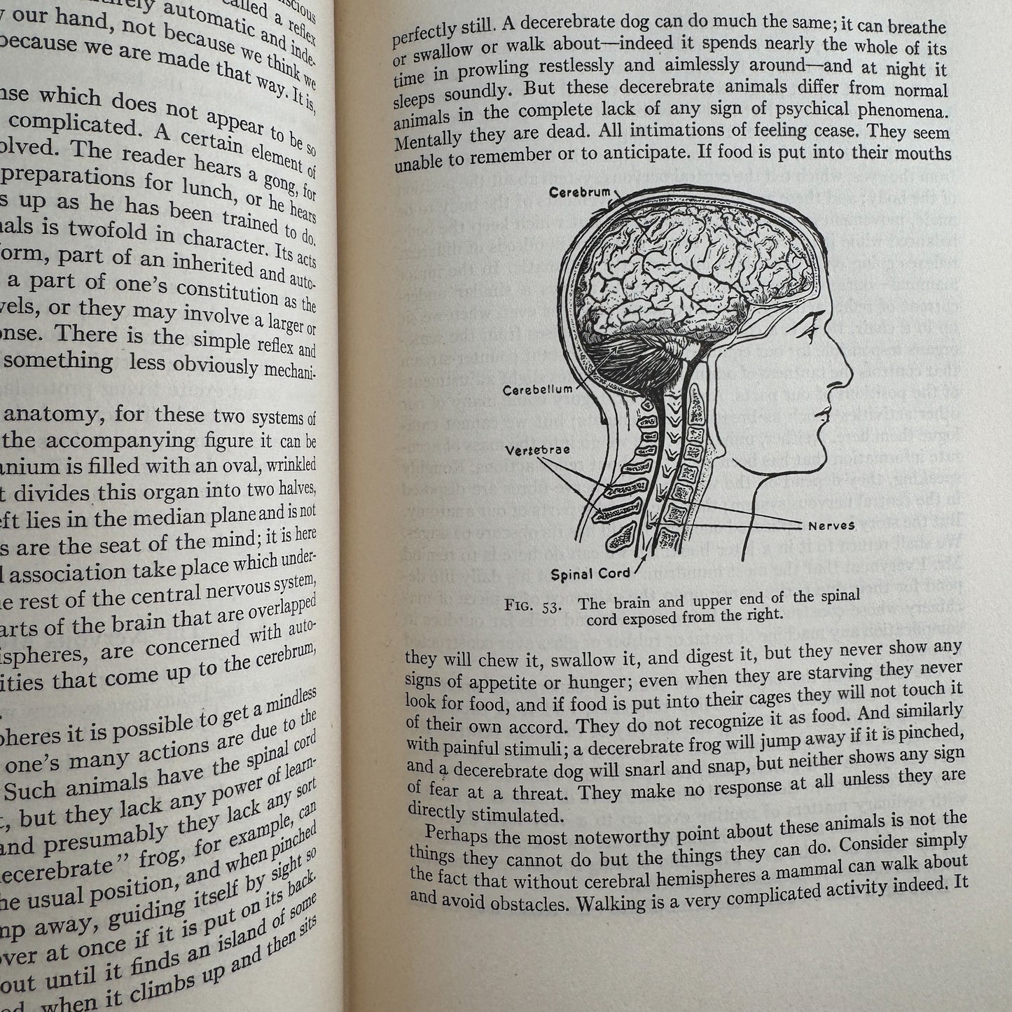 The Science of Life, Volume One, First Edition with Dust Jacket, 1931