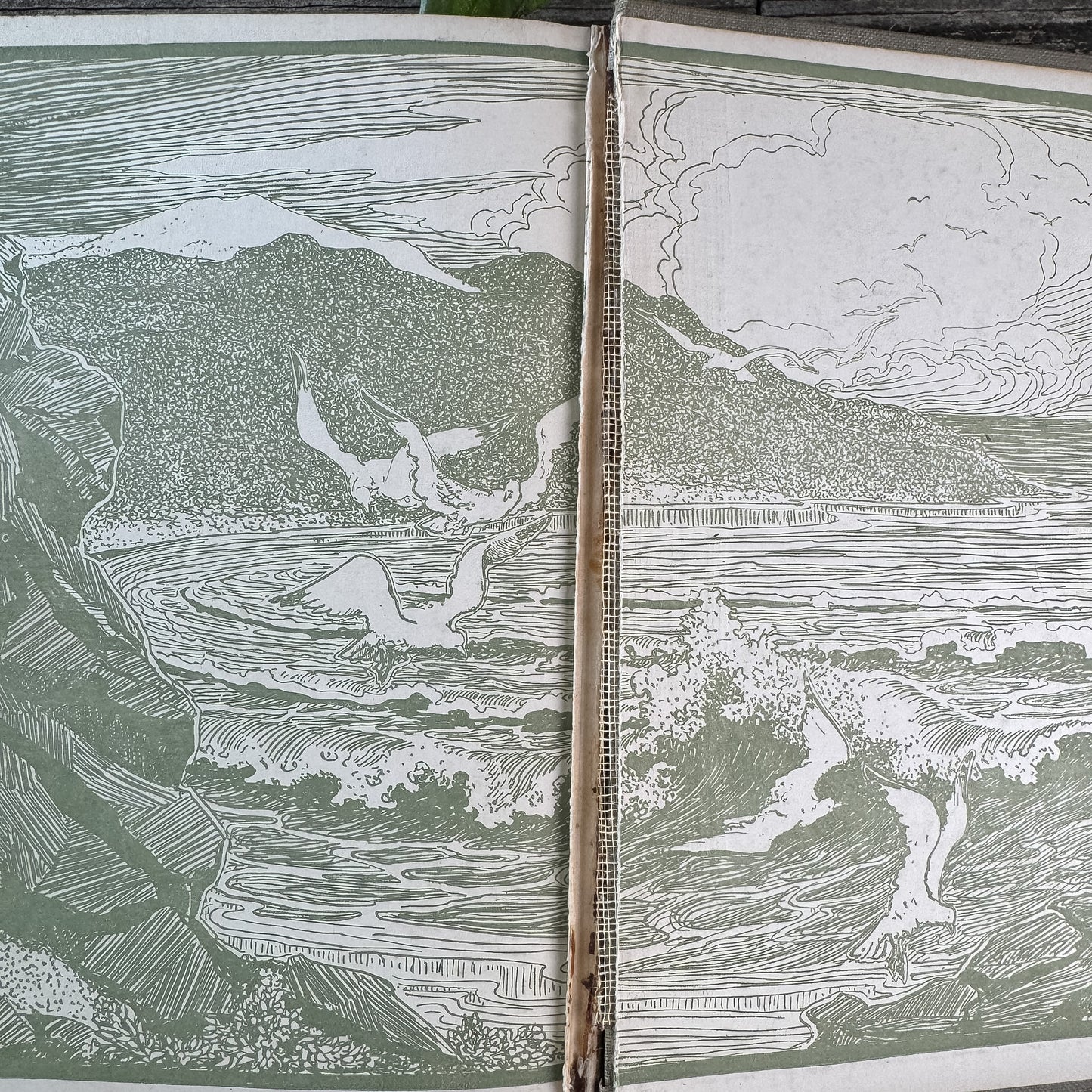 Her Father's Daughter and Laddie: A True Blue Story, Gene Stratton-Porter, 1921 and 1913