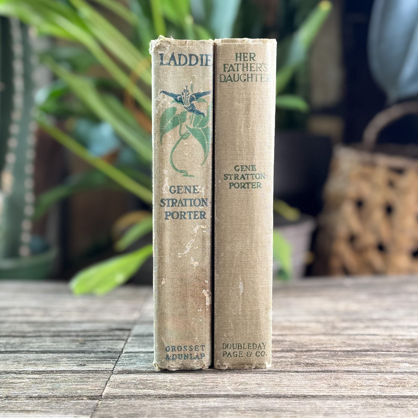 Her Father's Daughter and Laddie: A True Blue Story, Gene Stratton-Porter, 1921 and 1913