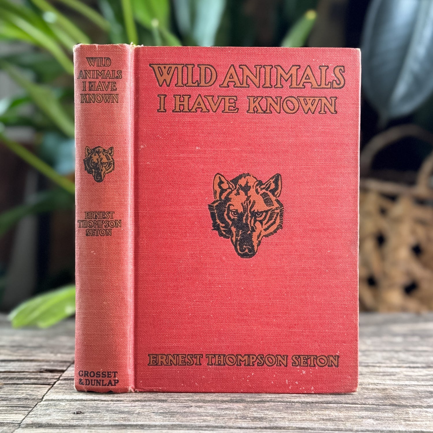 Vintage Nature Study Books