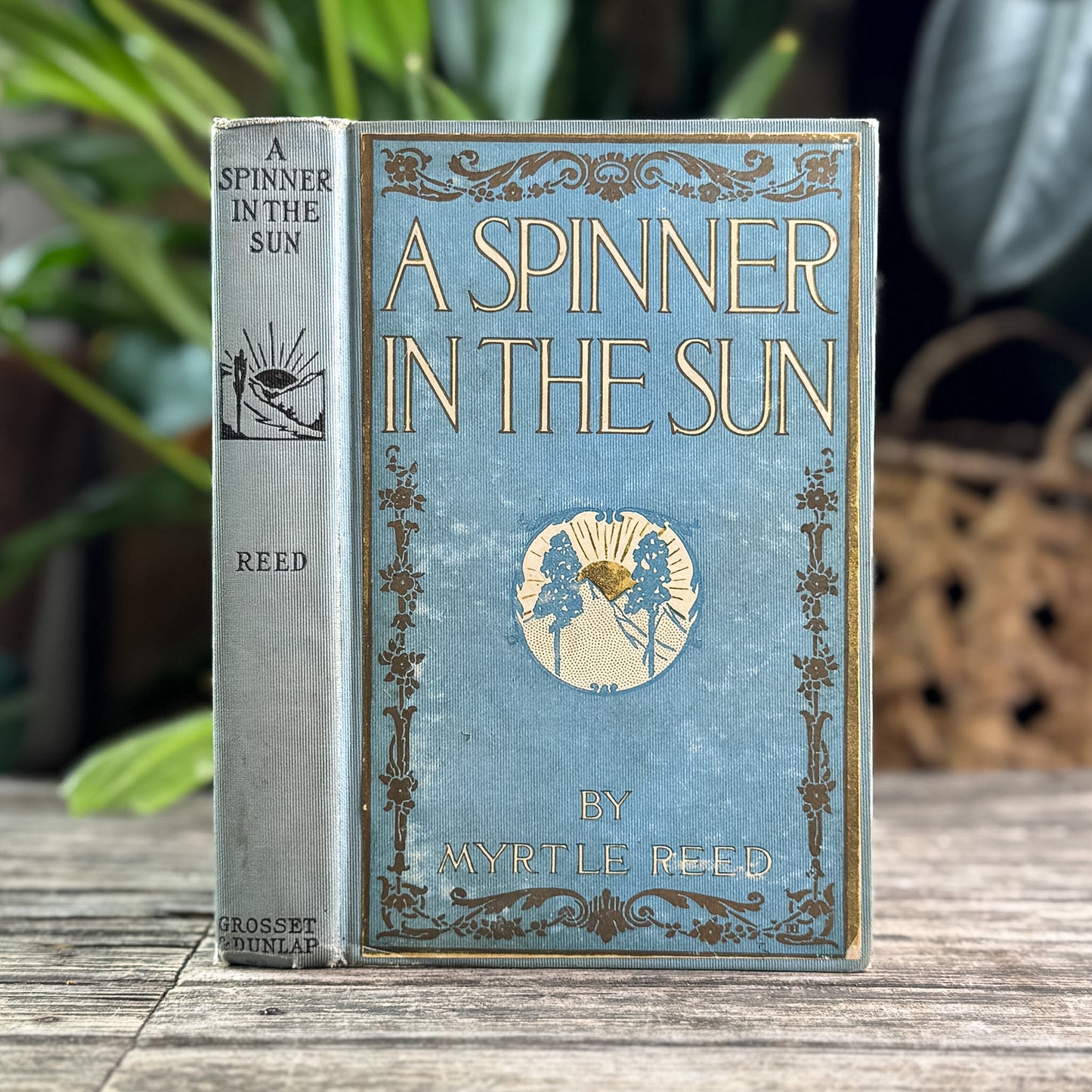 A Spinner in the Sun, Myrtle Reed, 1906 Romance