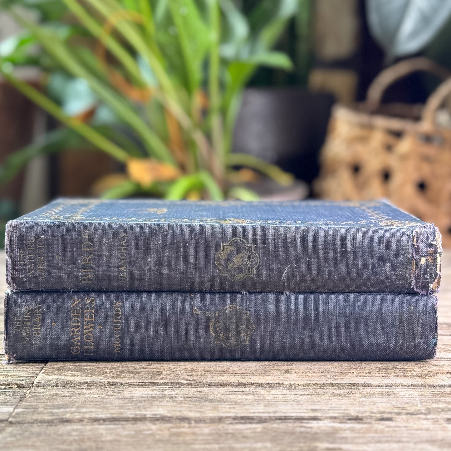 The Nature Library: Birds and The Nature Library: Garden Flowers, 1926
