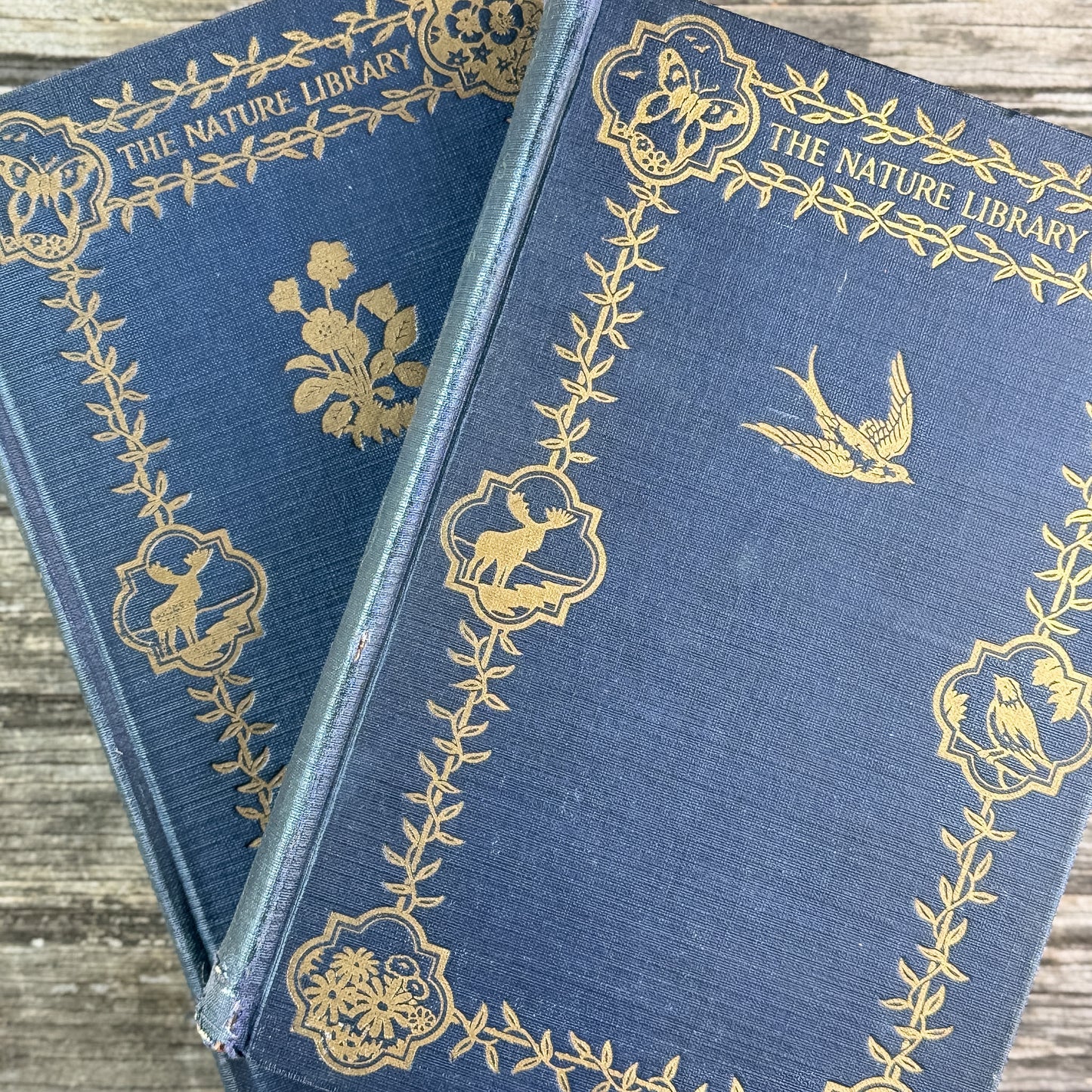 The Nature Library: Birds and The Nature Library: Garden Flowers, 1926