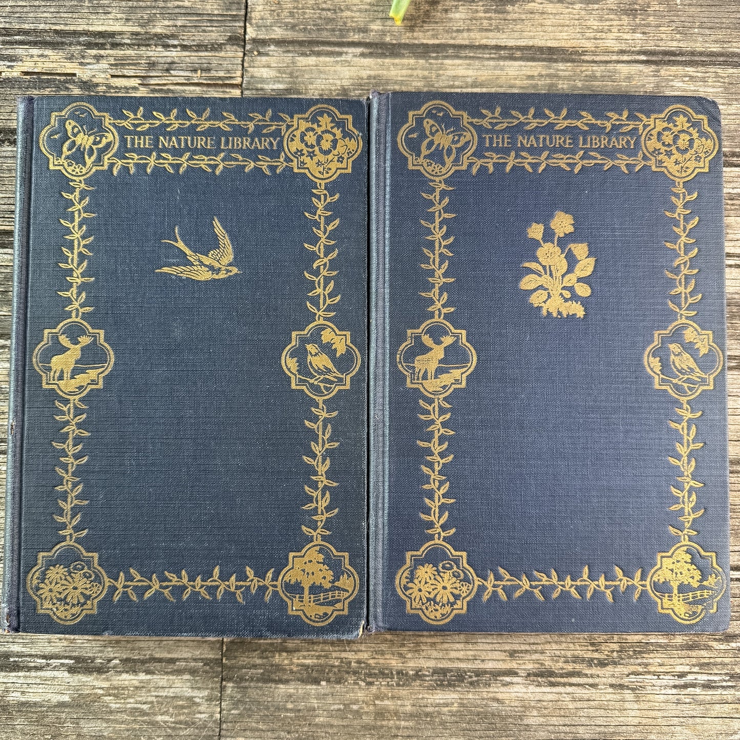 The Nature Library: Birds and The Nature Library: Garden Flowers, 1926