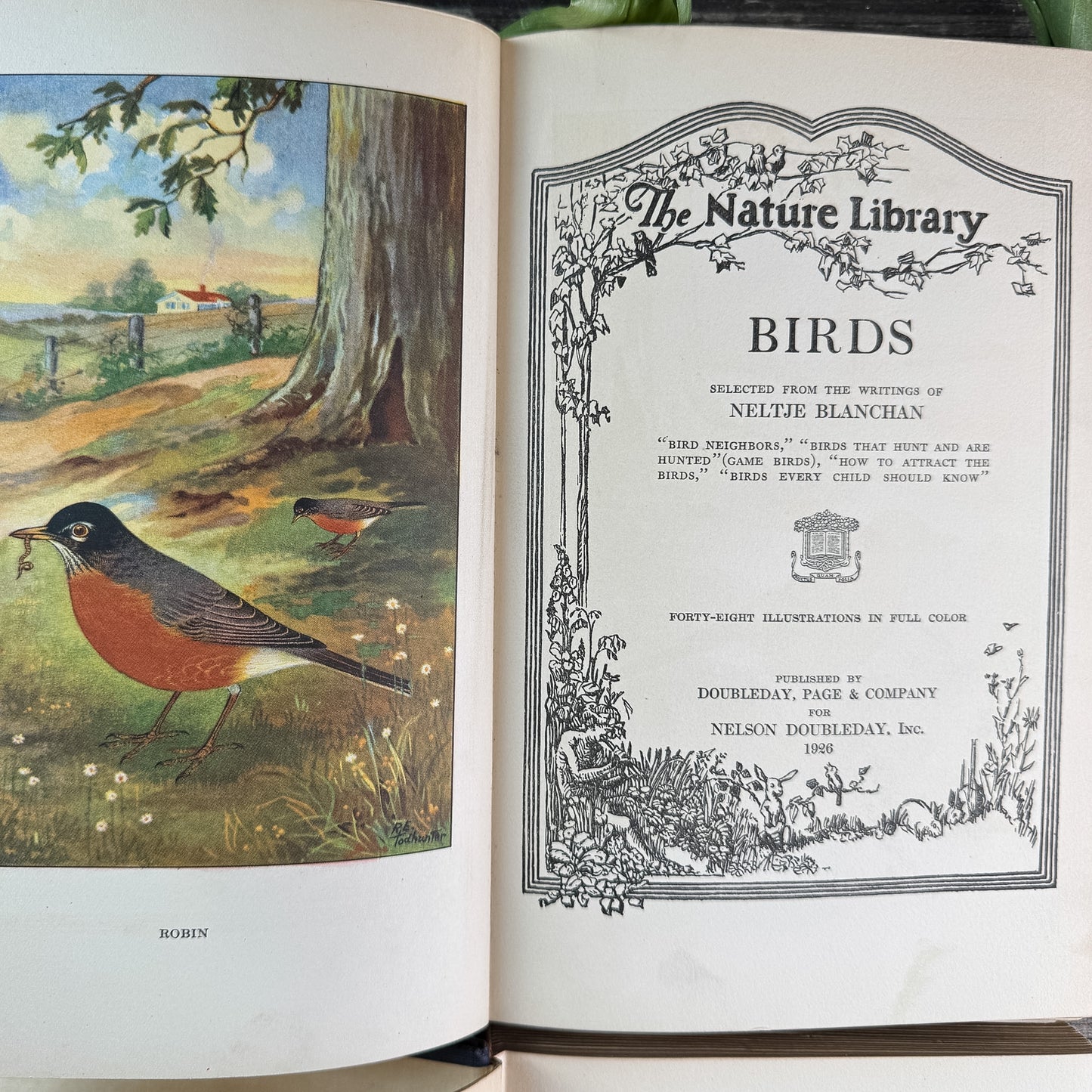 The Nature Library: Birds and The Nature Library: Garden Flowers, 1926