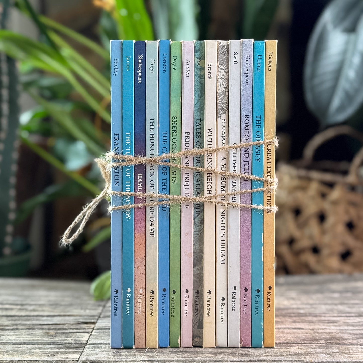 Set of 14 Raintree Illustrated Classics for Kids, 1981