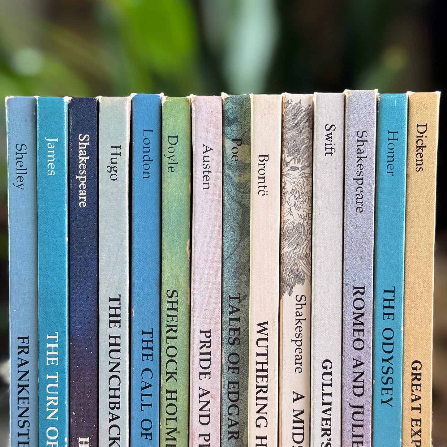 Set of 14 Raintree Illustrated Classics for Kids, 1981