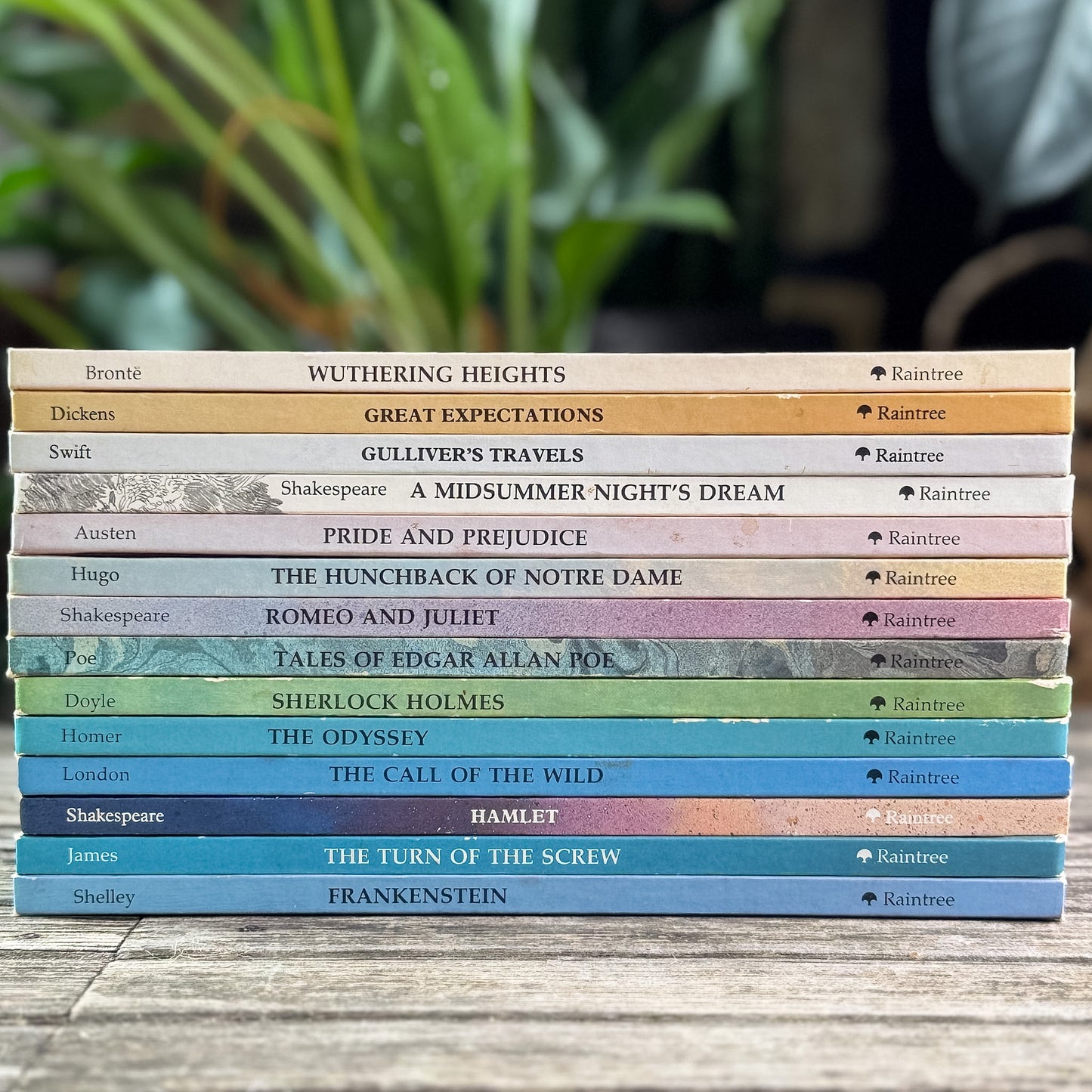 Set of 14 Raintree Illustrated Classics for Kids, 1981