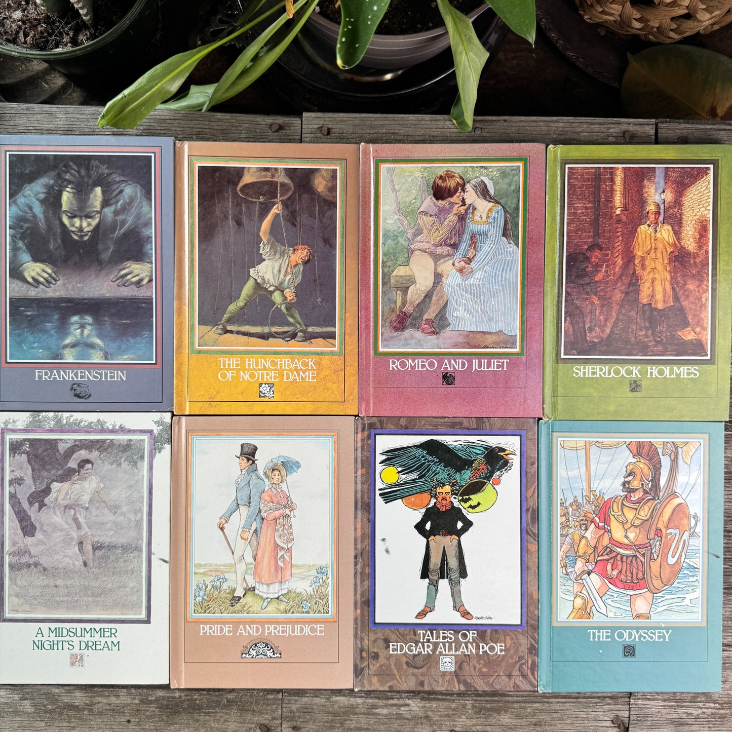 Set of 14 Raintree Illustrated Classics for Kids, 1981