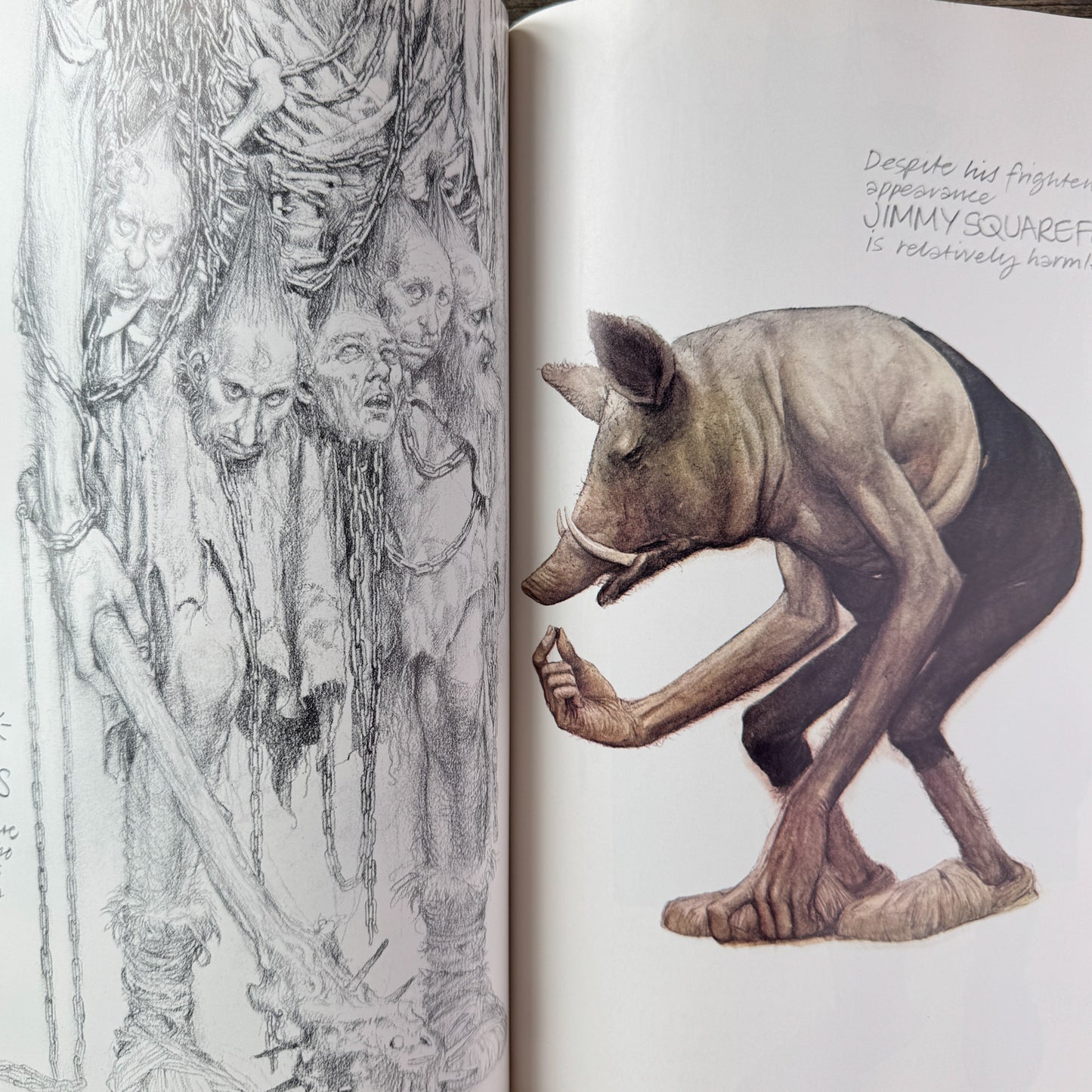 Faeries, Brian Froud and Alan Lee, edited by David Larkin, 1978, Harry N. Abrams