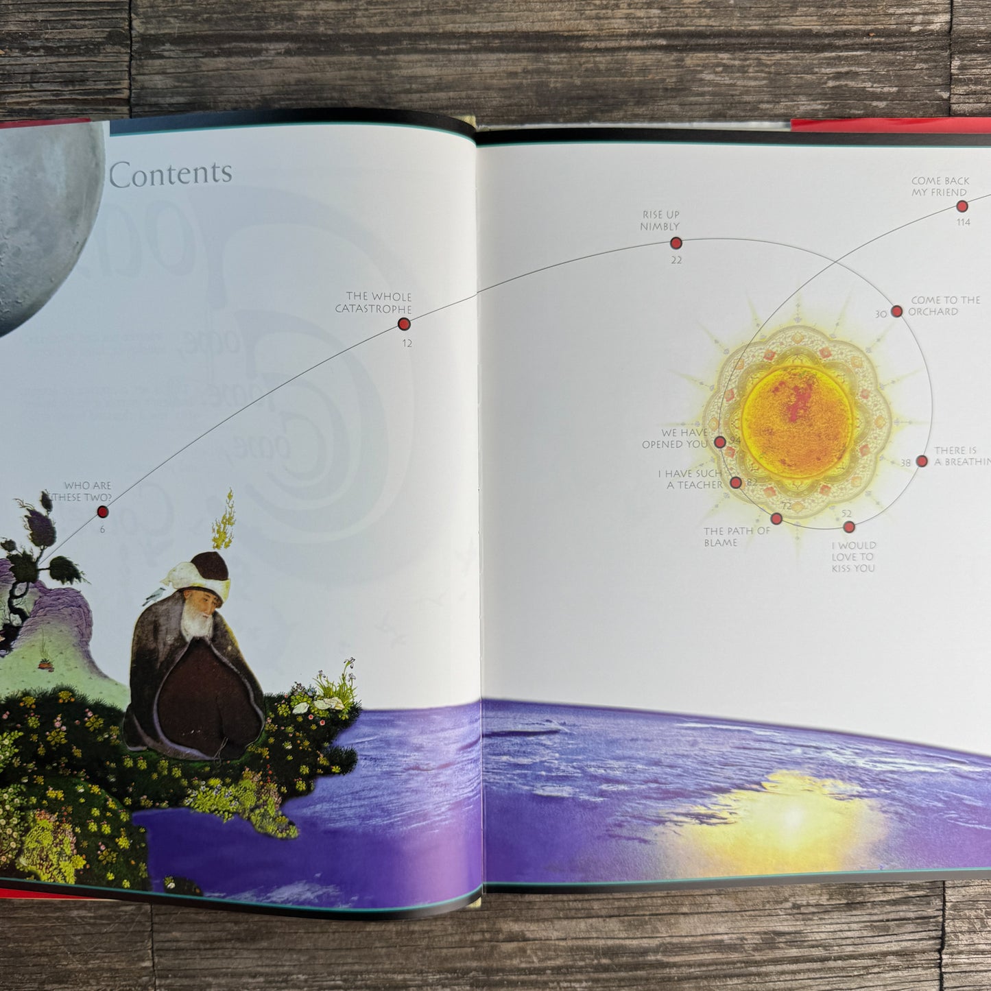 The Illuminated Rumi, 1997, First Edition Poetry Book