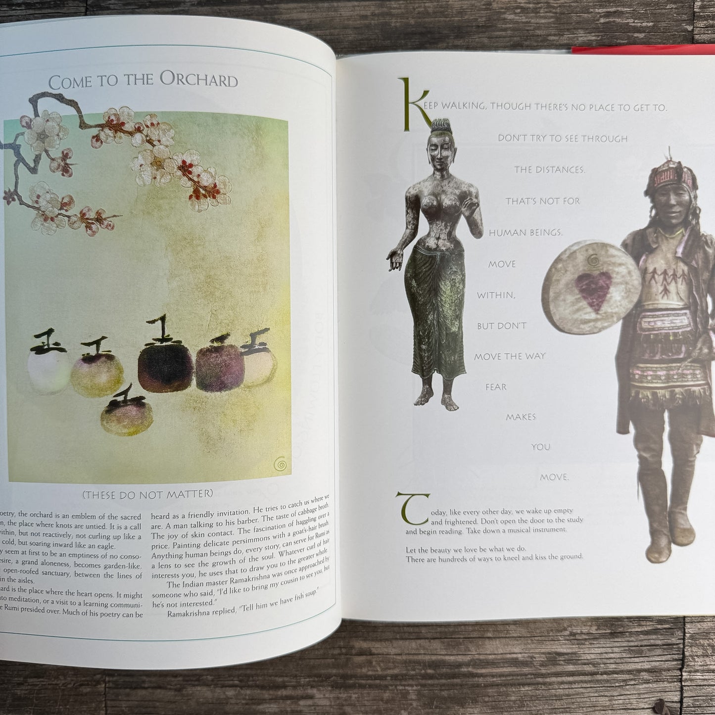 The Illuminated Rumi, 1997, First Edition Poetry Book