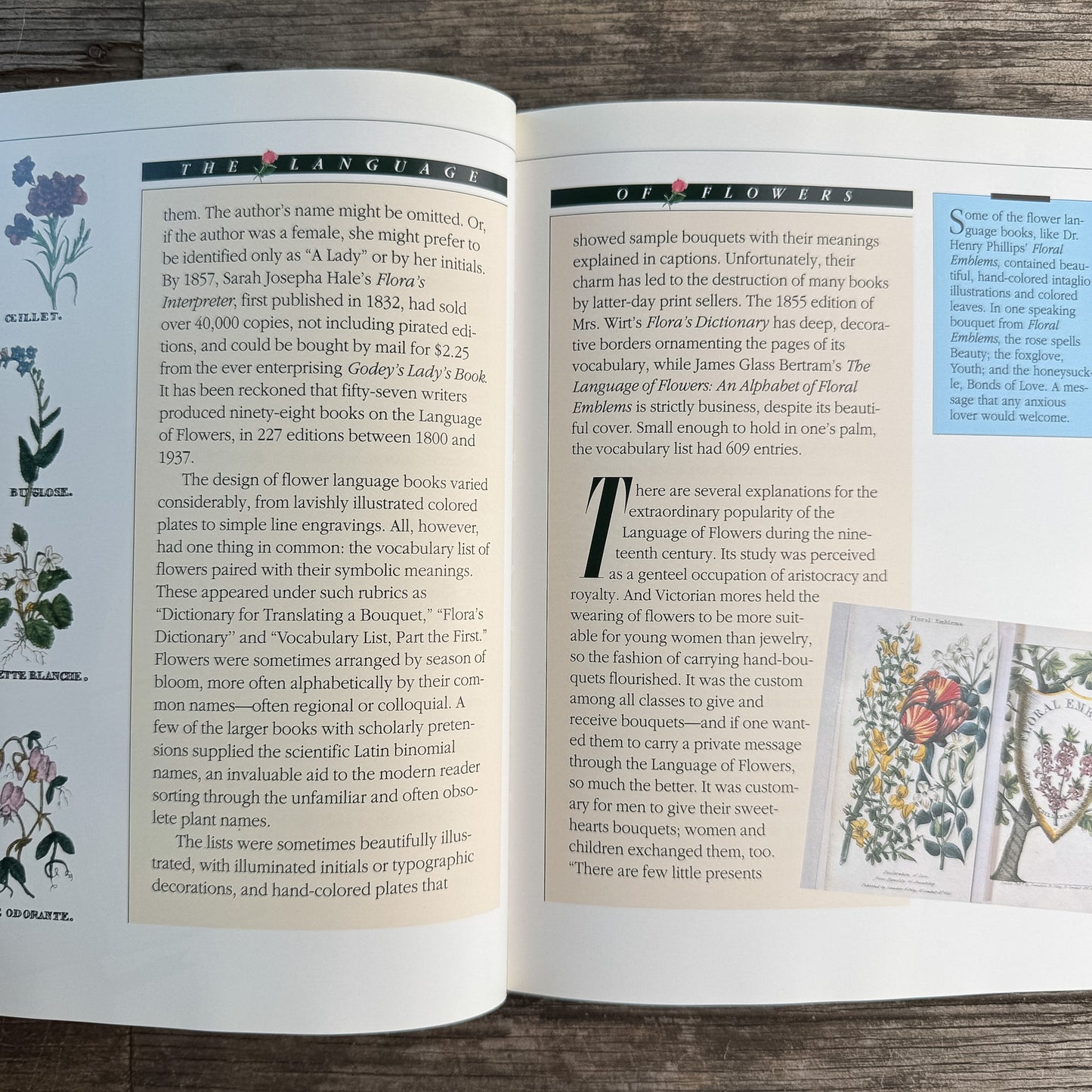 Tussie-Mussies: The Victorian Art of Expressing Yourself in the Language of Flowers, Signed, 1993