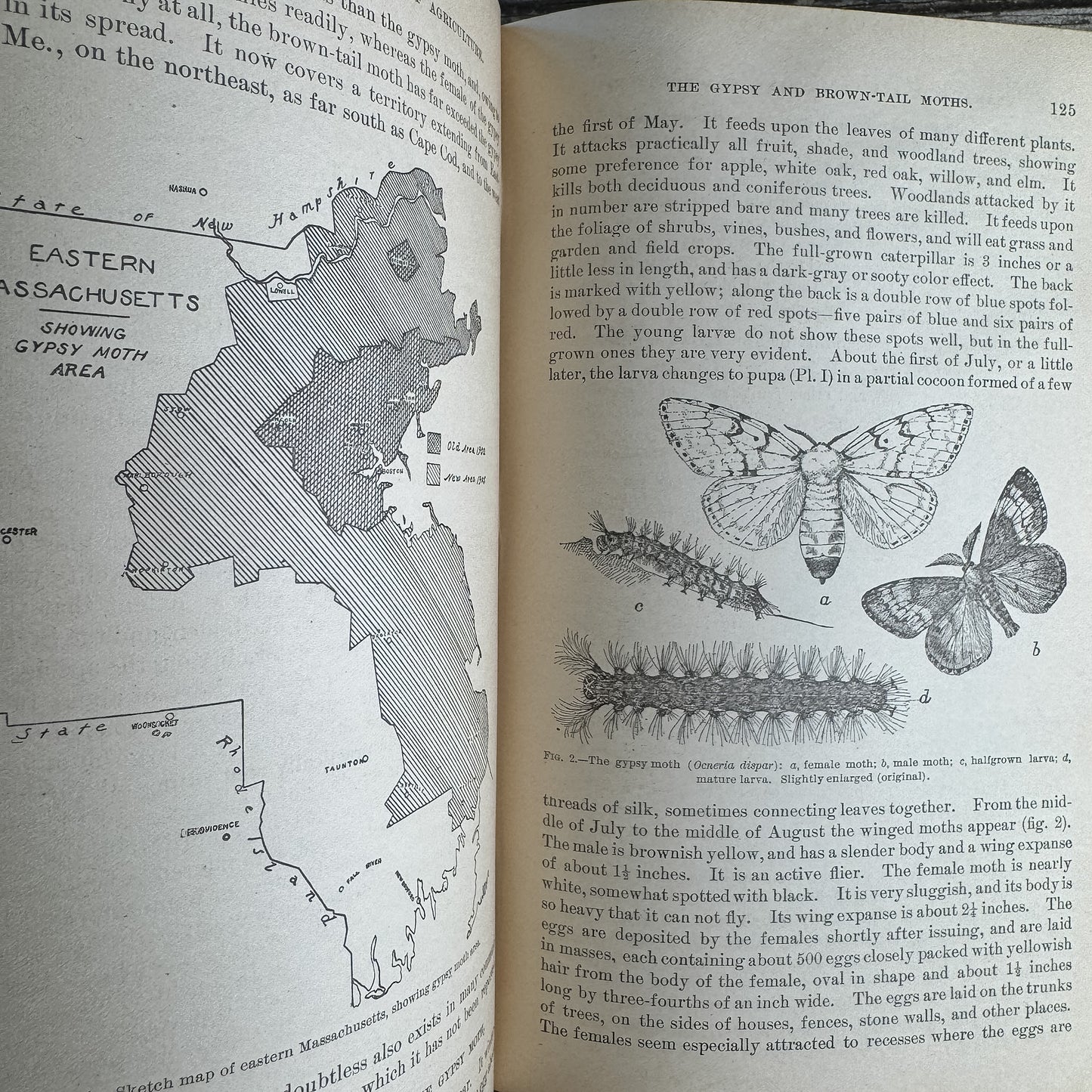 Yearbook of Agriculture 1905, U.S. Department of Agriculture, 1906