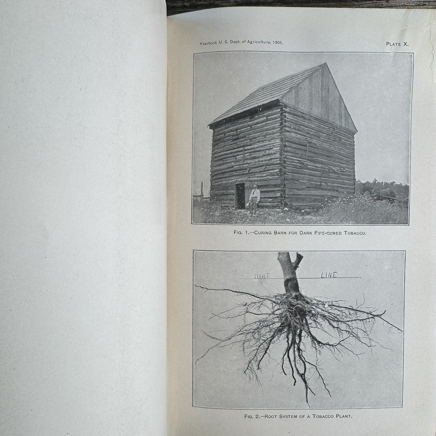 Yearbook of Agriculture 1905, U.S. Department of Agriculture, 1906