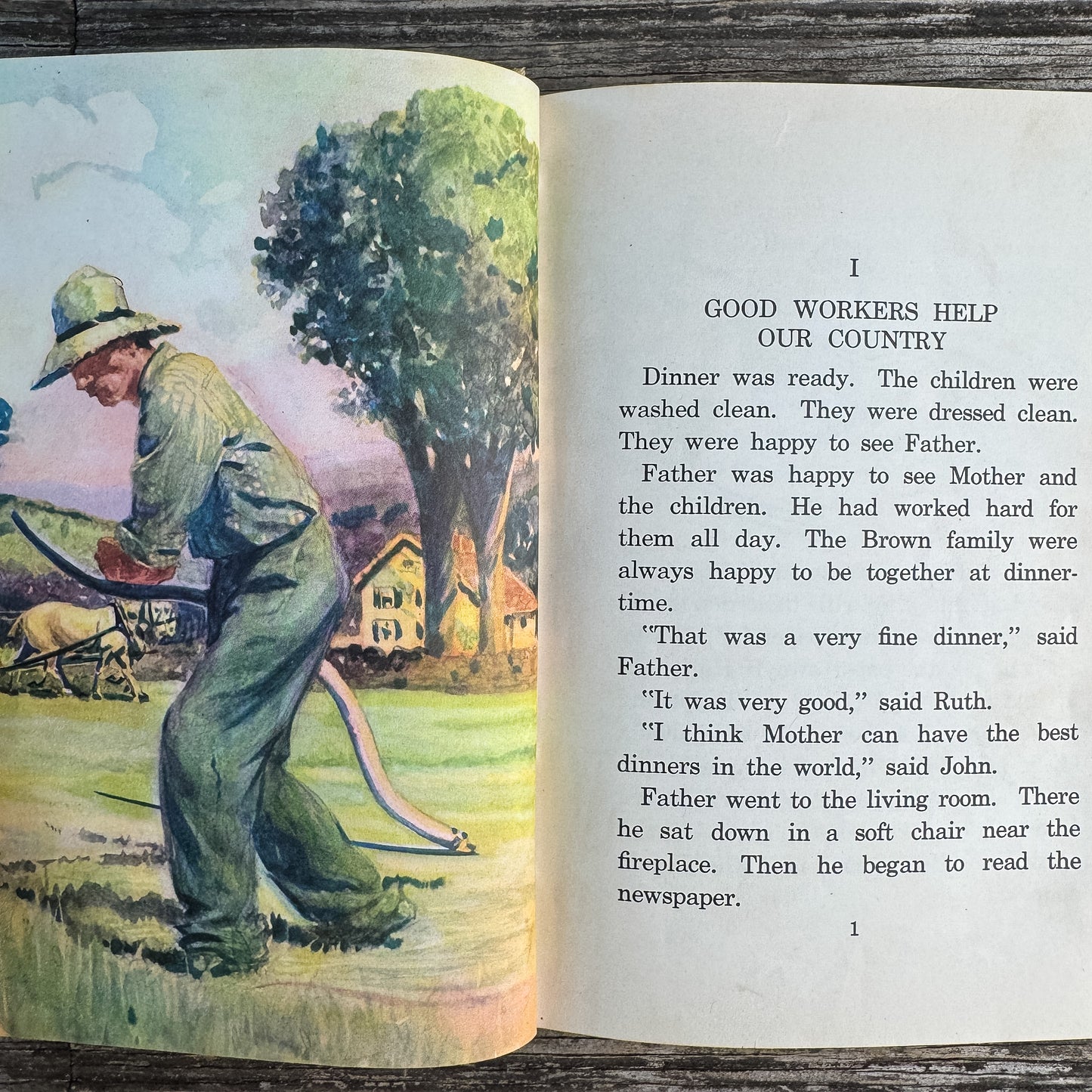 Your Land and Mine, Helen M. Brindl, 1940, Democracy Readers Series